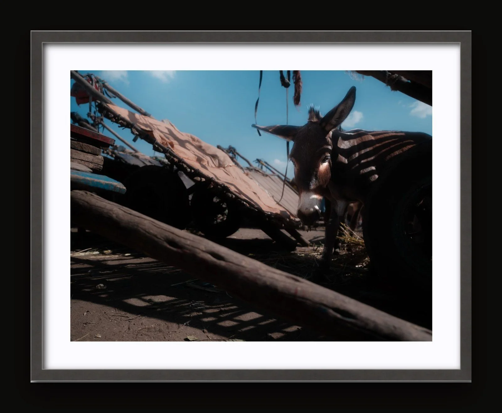 Stand 07 - Shade II - Sanctuary frame.jpg