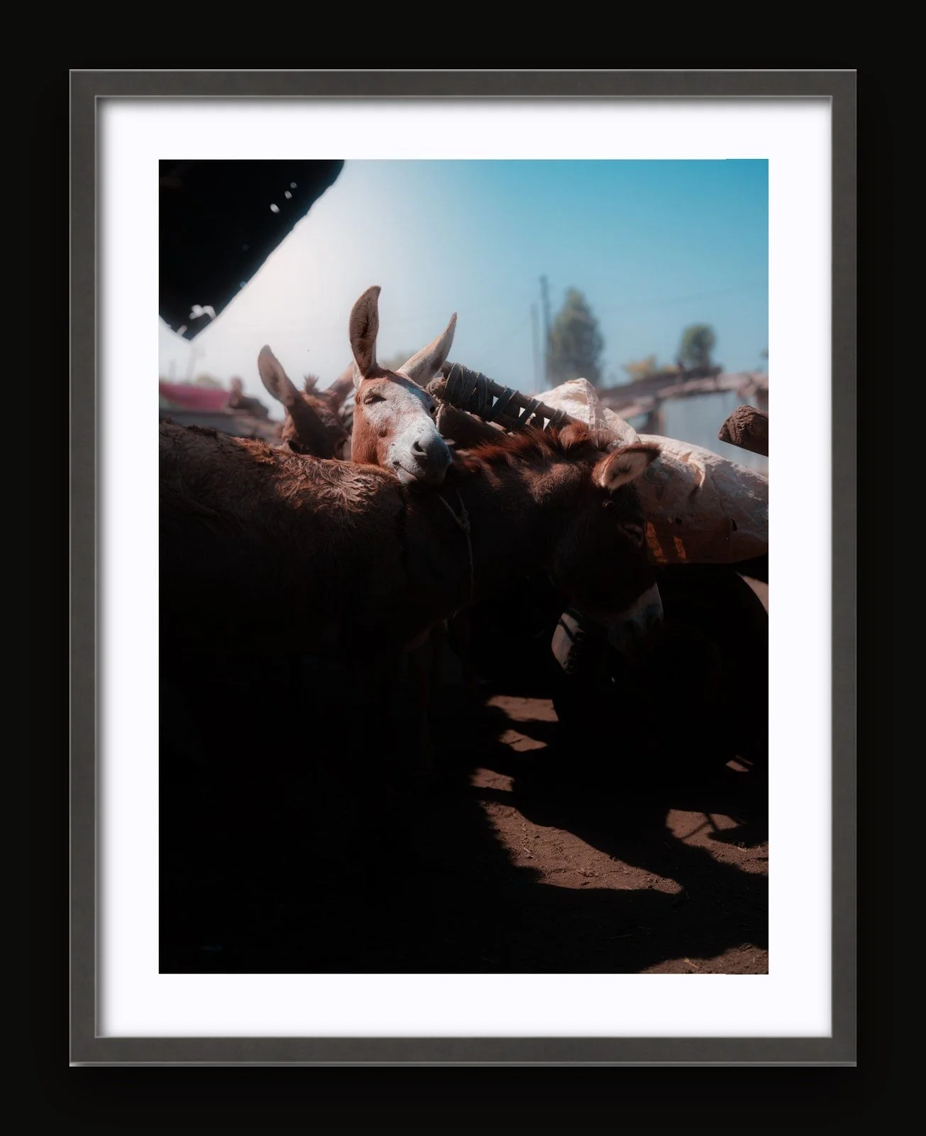 Stand 05 - Small Moments I - Sanctuary frame.jpg