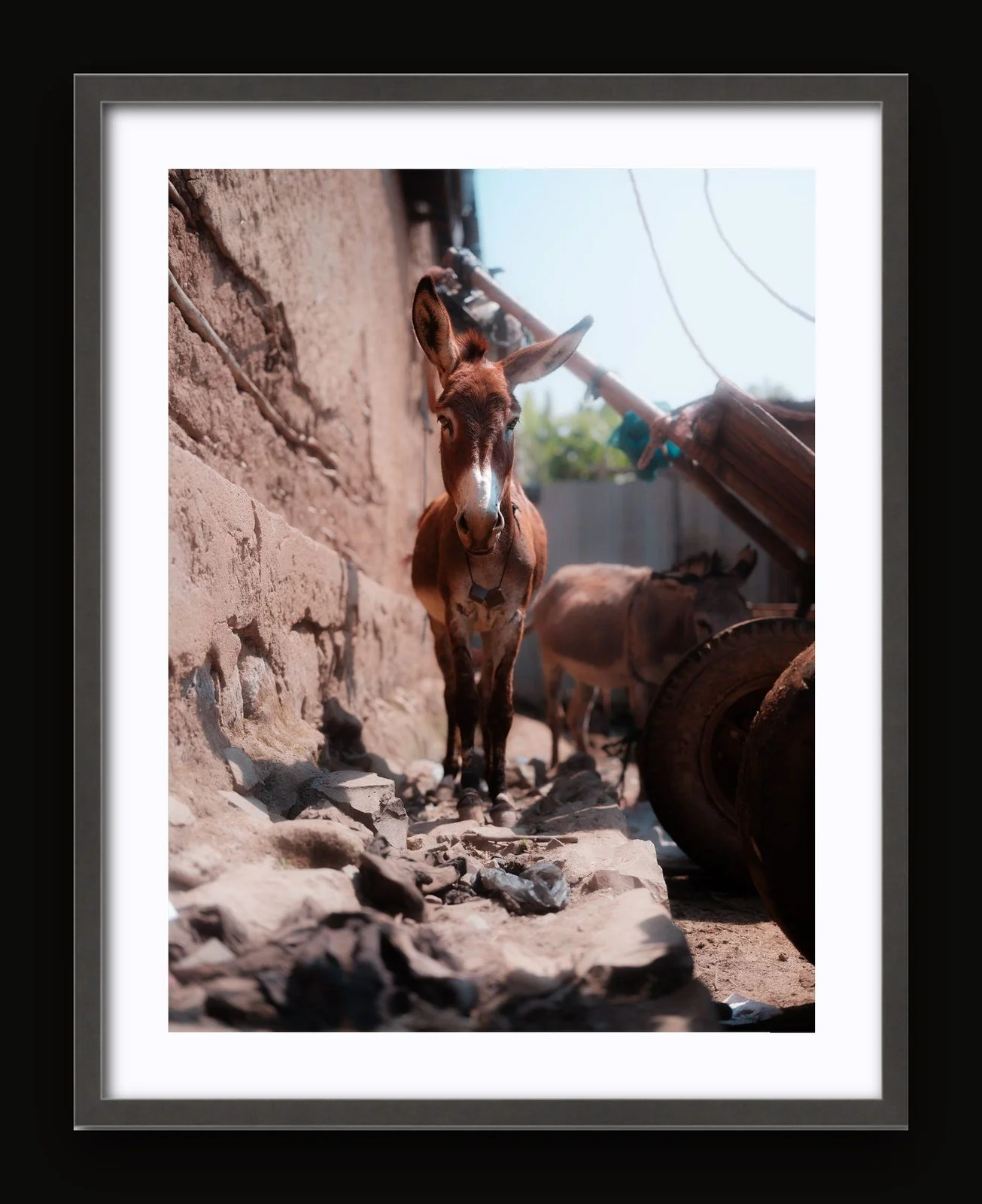 Stand 05 - Small Moments III - Sanctuary frame.jpg