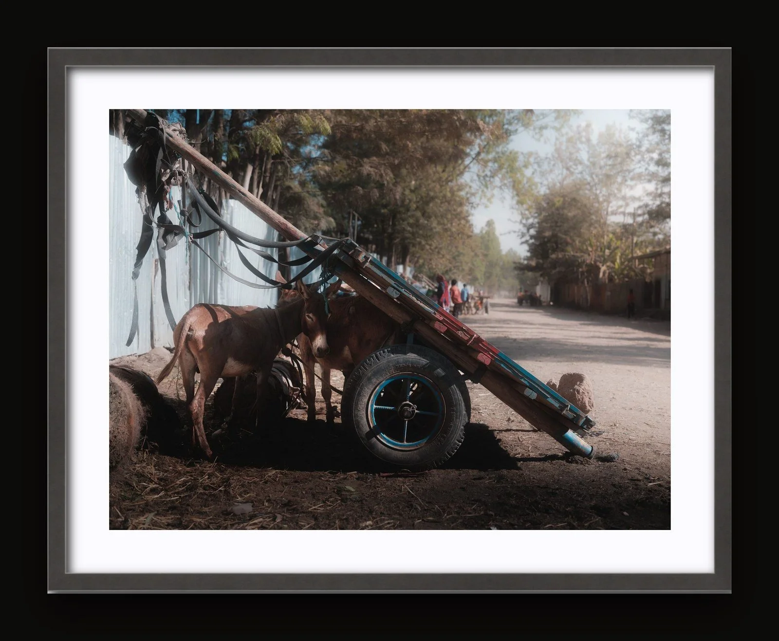 Stand 07 - Shade I - Sanctuary frame.jpg