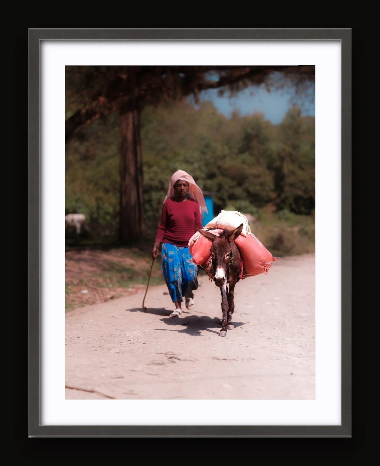 Stand 06 - Pack Animals II - Sanctuary frame.jpg