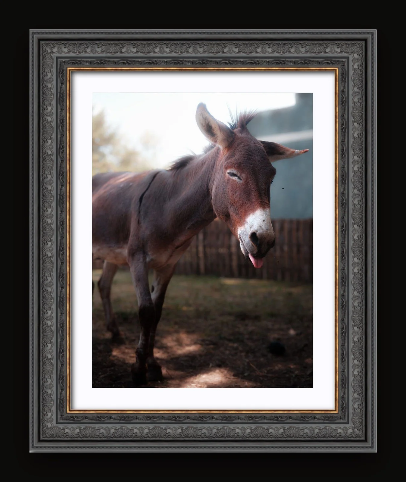Stand 09 - Character III - Renaissance frame.jpg
