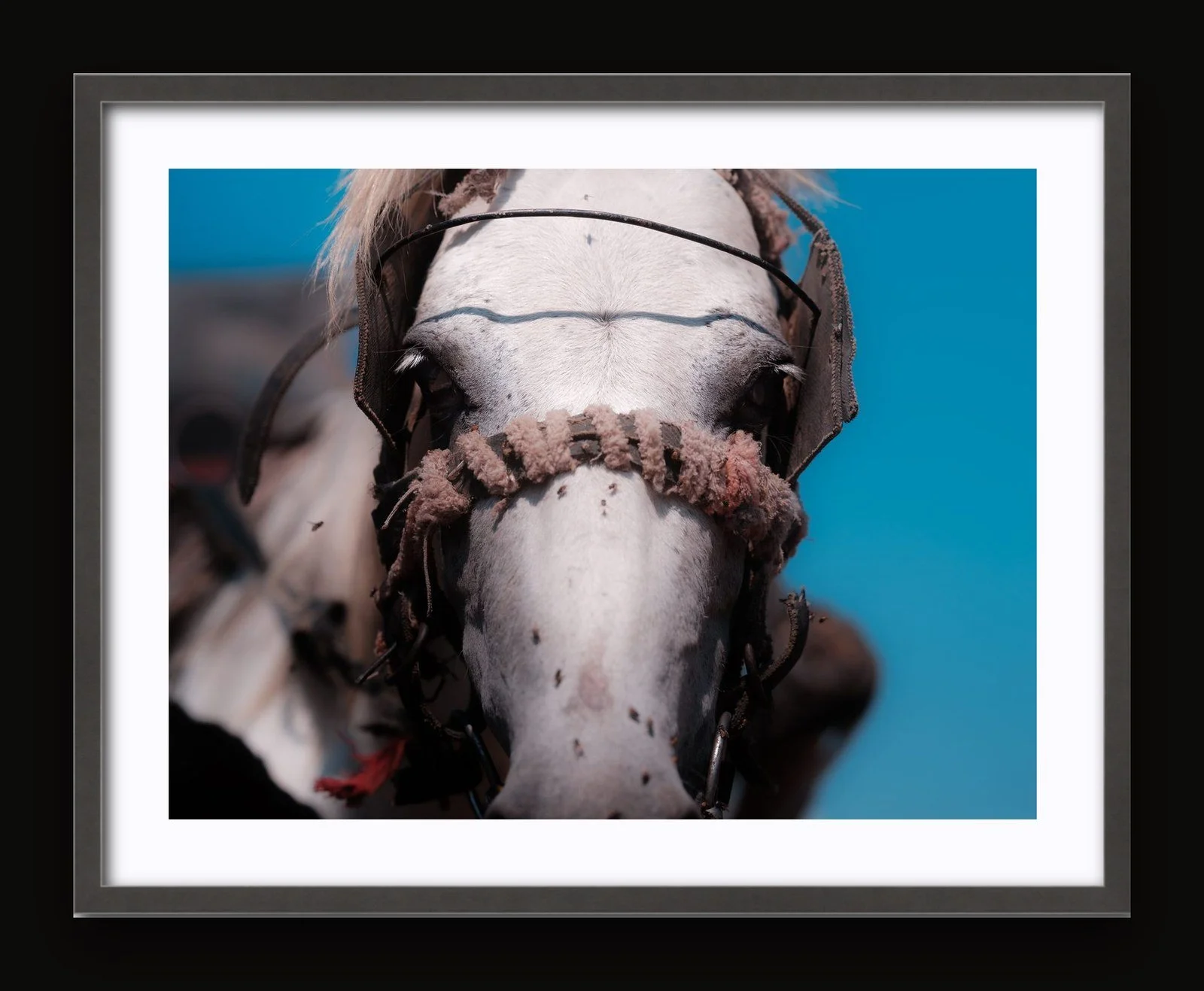 Stand 11 - Windows III - Sanctuary frame.jpg