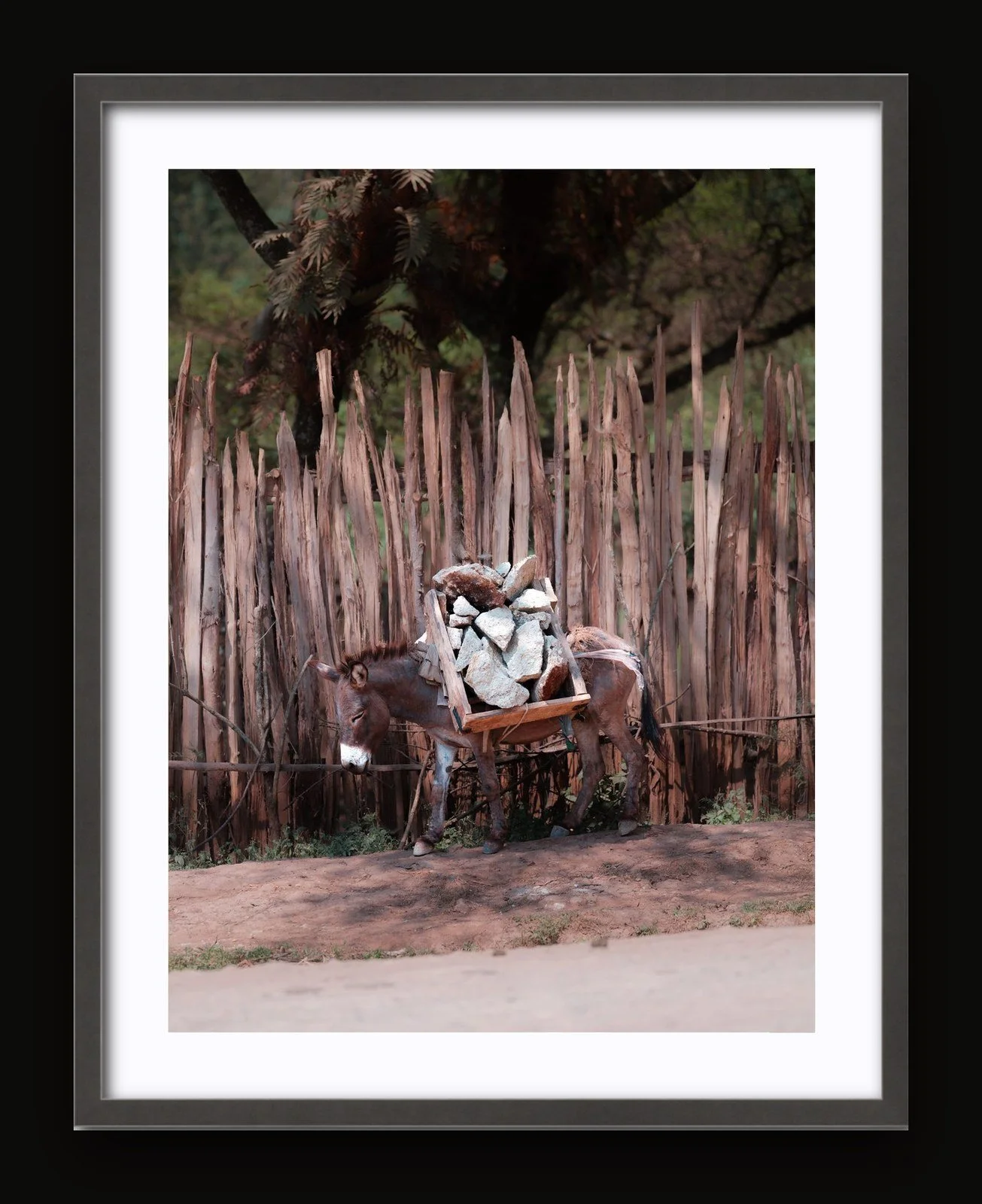 Stand 06 - Pack Animals III - Sanctuary frame.jpg