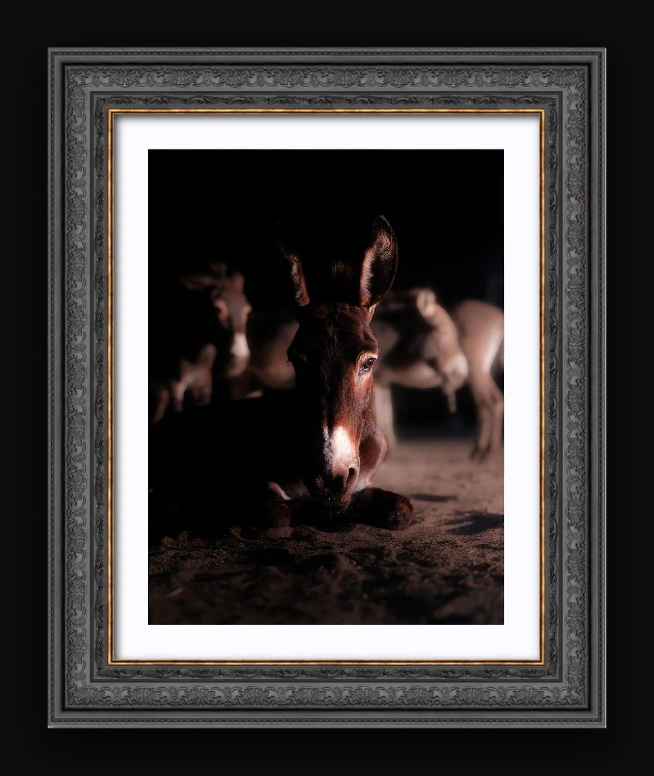 Stand 01 - Shelter II - Renaissance frame.jpg