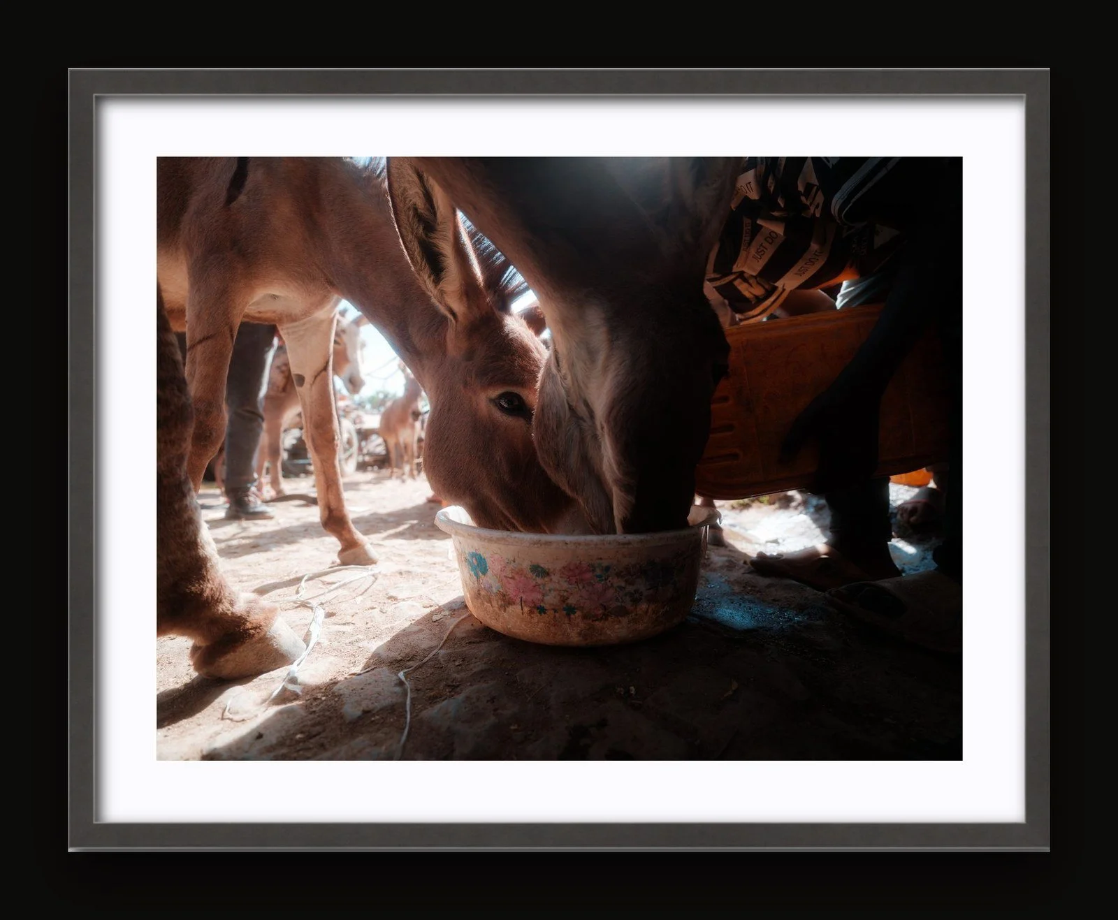 Stand 04 - Food and Water II - Sanctuary frame.jpg