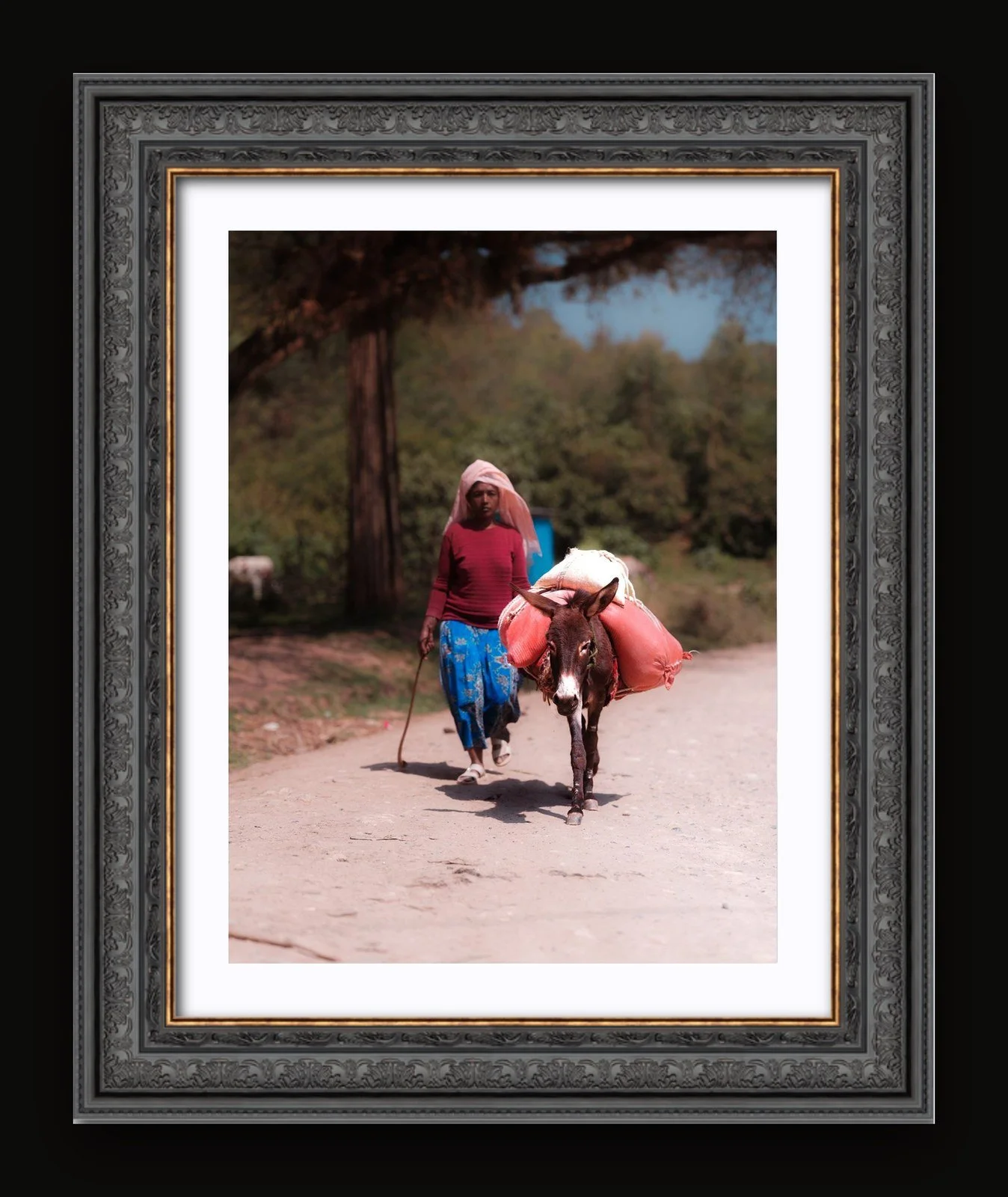 Stand 06 - Pack Animals II - Renaissance frame.jpg
