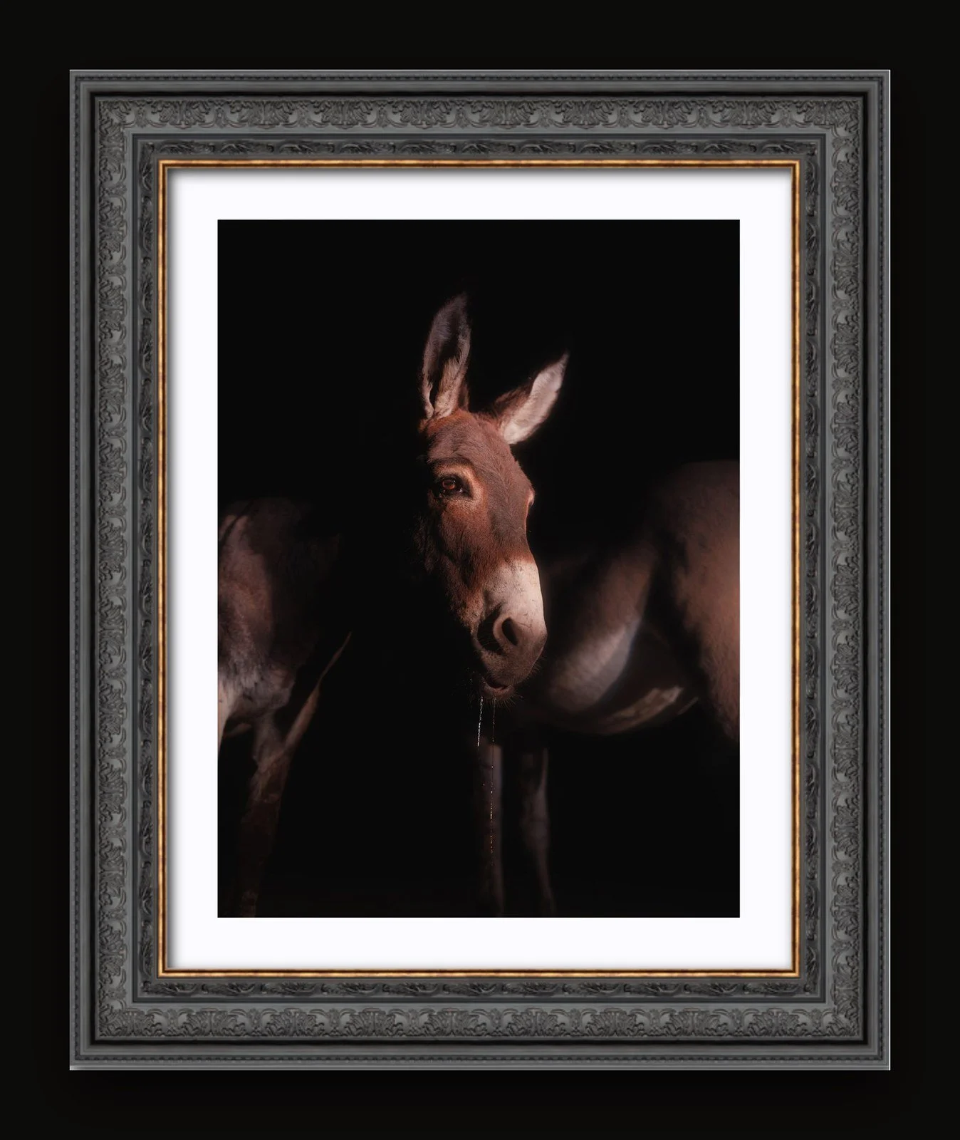 Stand 01 - Shelter III - Renaissance frame.jpg