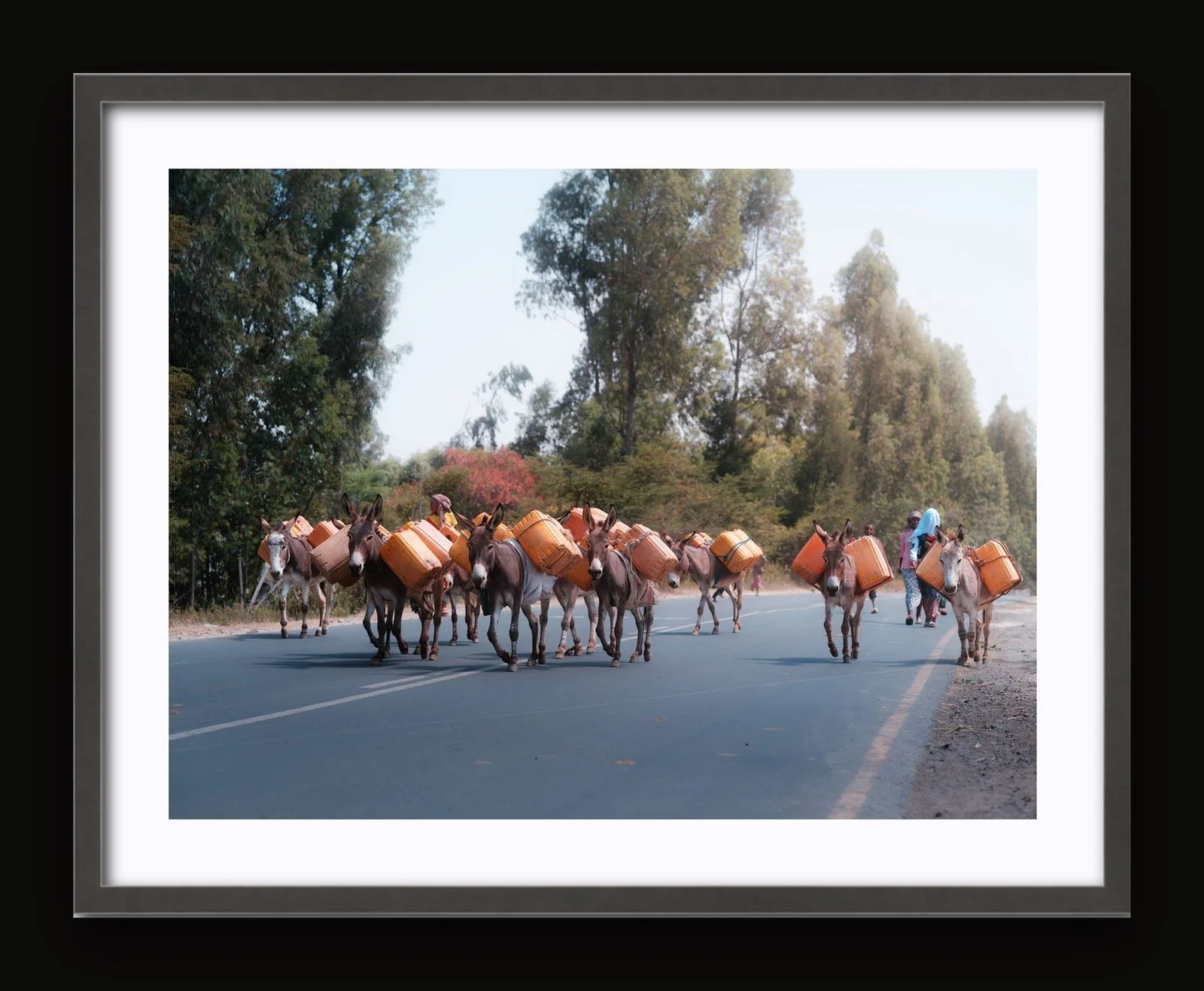 Stand 06 - Pack Animals I - Sanctuary frame.jpg