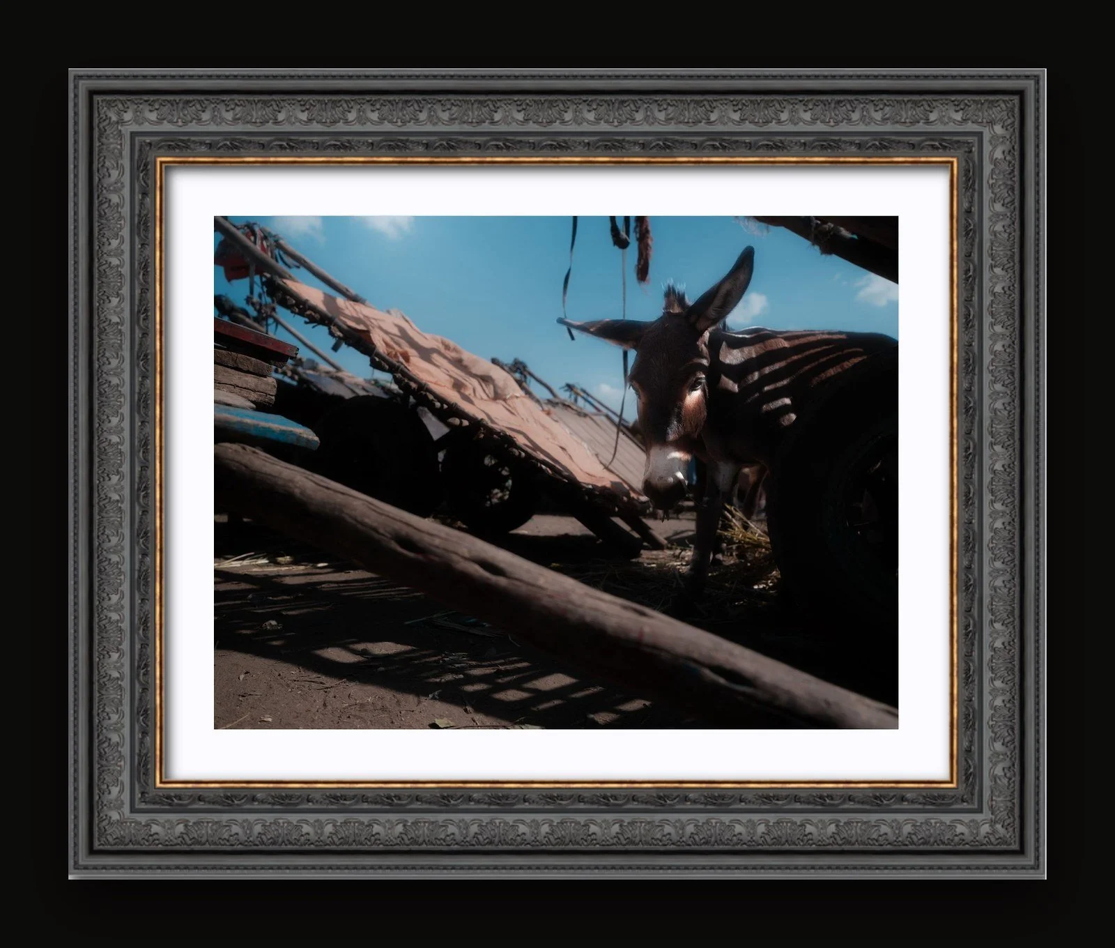 Stand 07 - Shade II - Renaissance frame.jpg