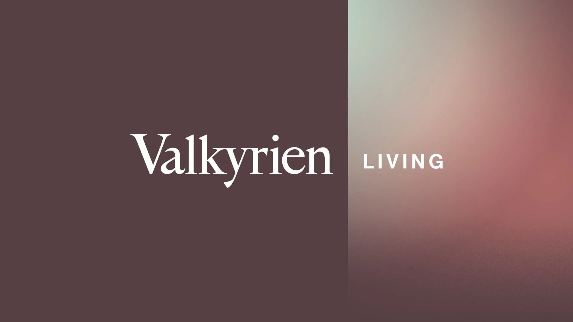 Roi_Valkyrien_Case2.jpg