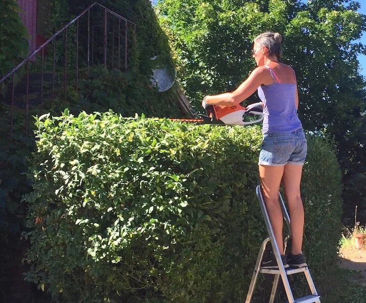 Hedge trimming