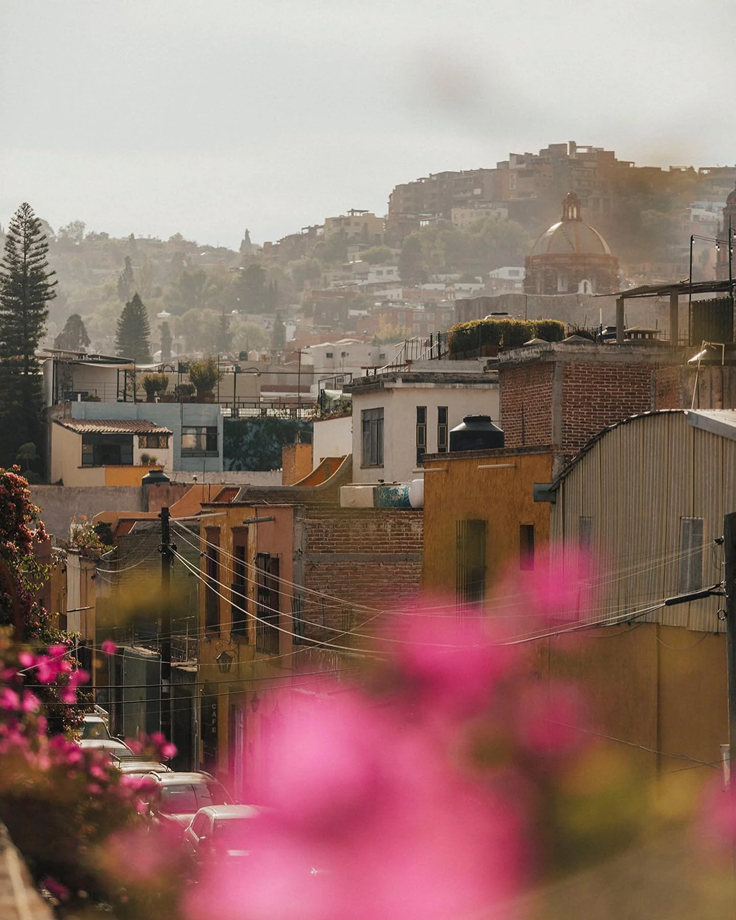 A little look into what this group brought to San Miguel. Such creativity and openness - this group of women (spanning 6 decades) shared energy and wisdom we find only when we all consciously decide to let go. Grateful for those days in the sun, peac