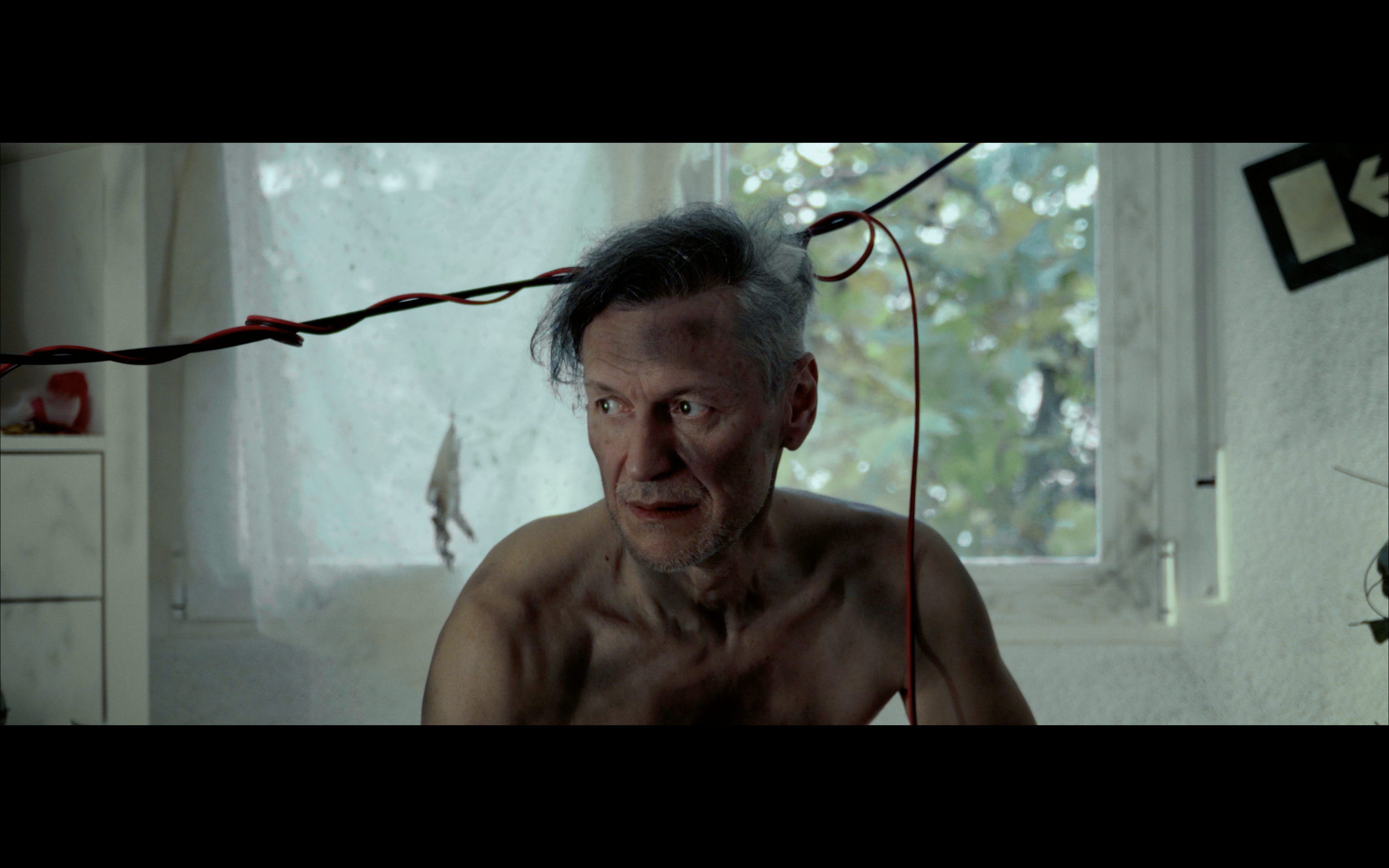 Screenshot 2026-01-23 at 12.29.07.png