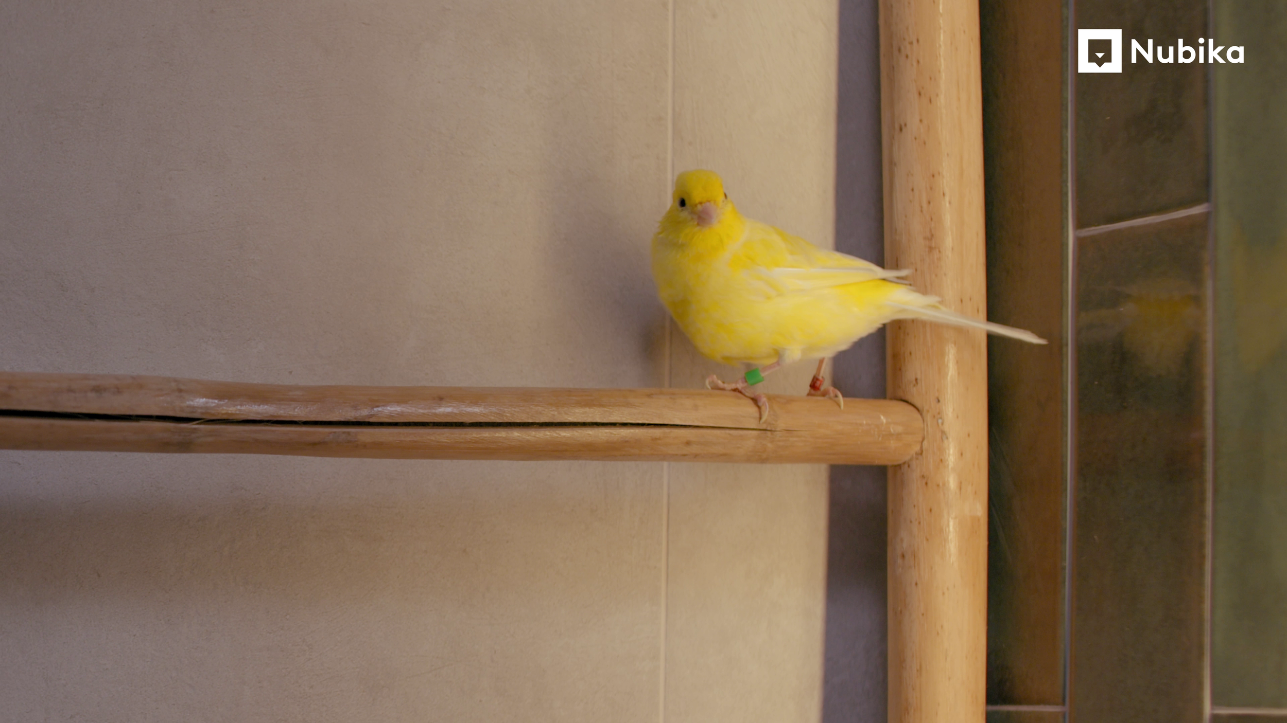 vlcsnap-2026-06-05-10h44m21s368.png
