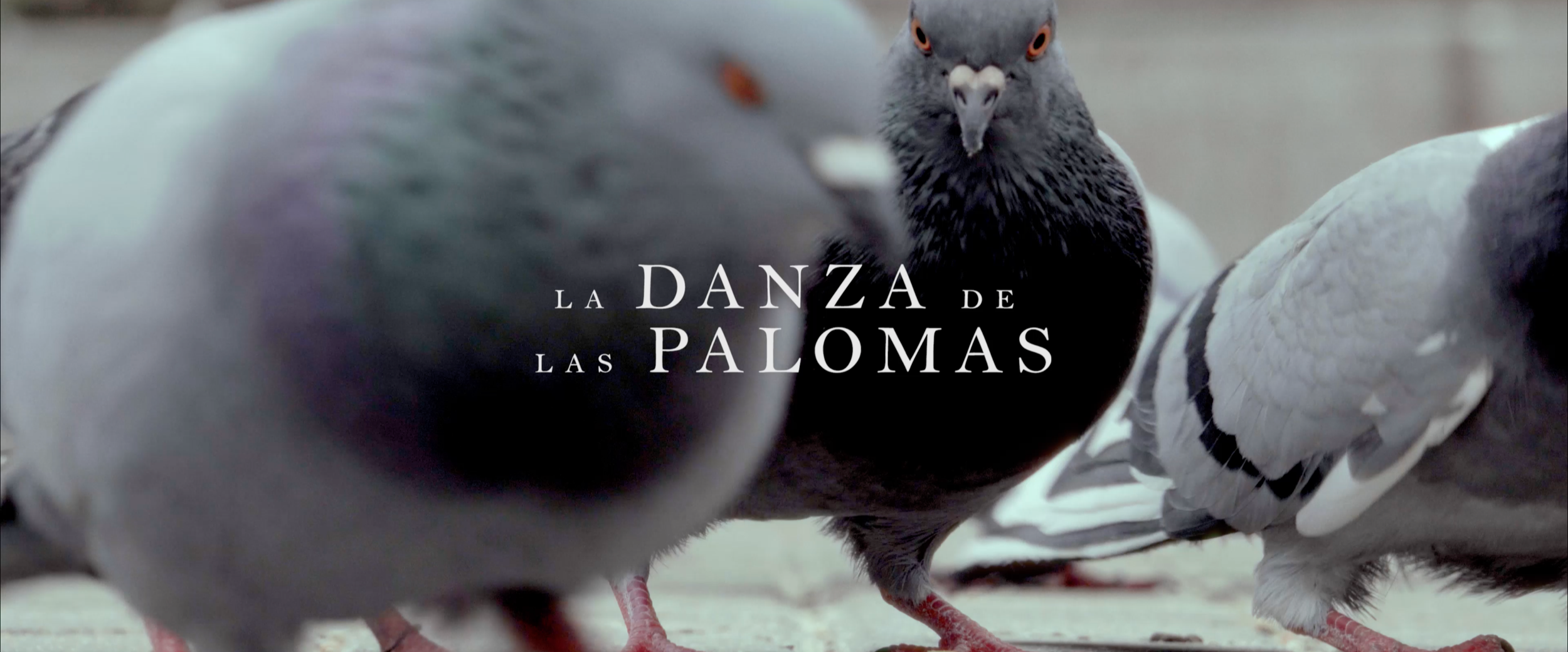 La Danza de las Palomas · Shortfilm