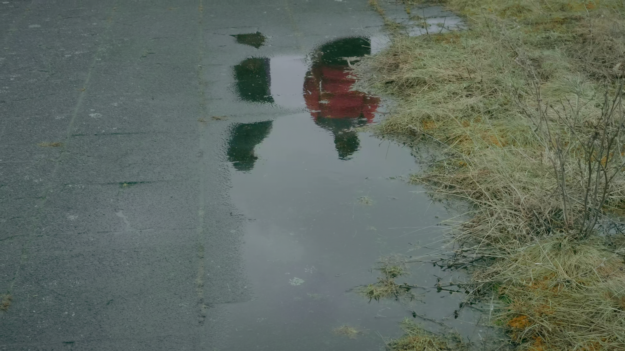 vlcsnap-2026-06-04-12h18m36s277.png