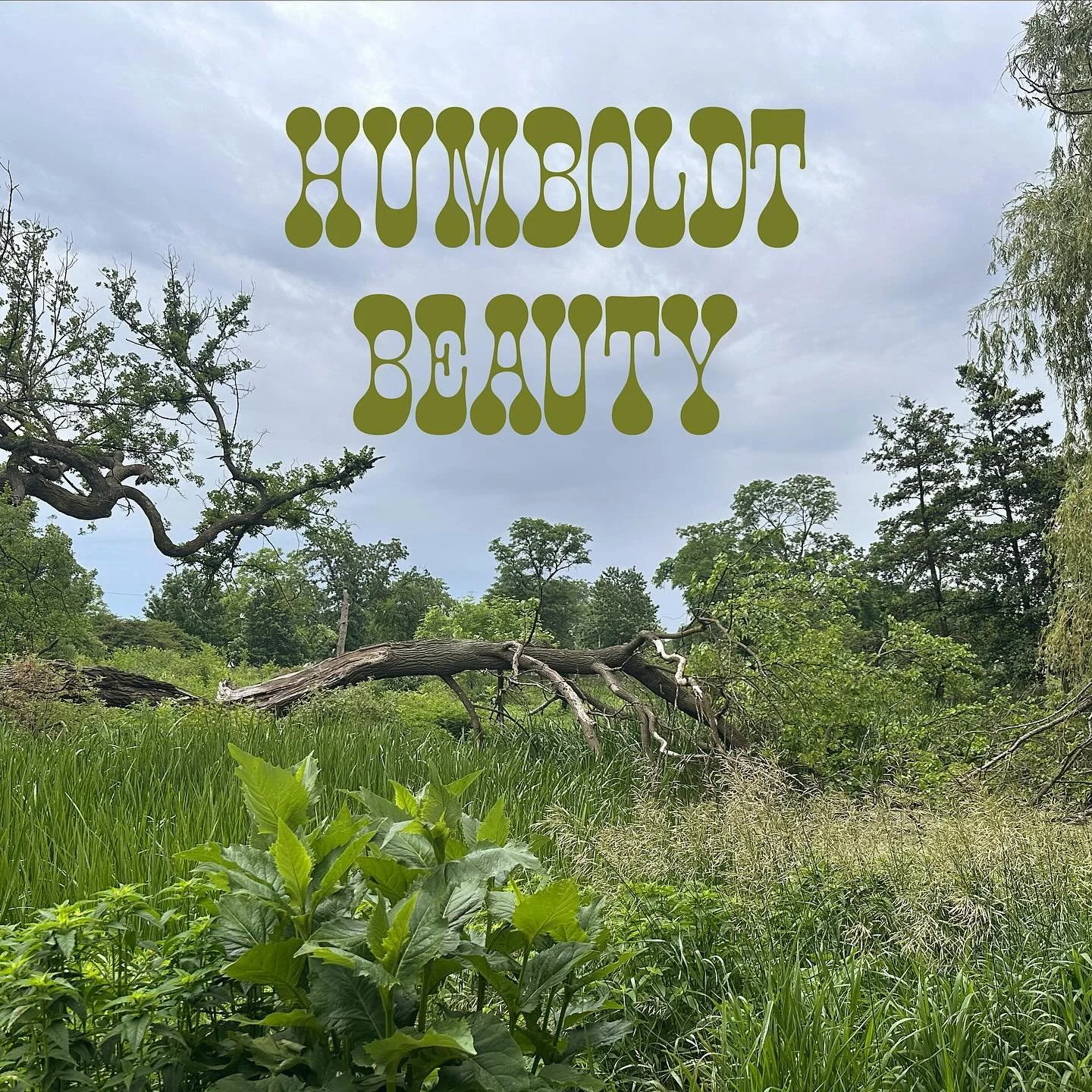 Love that Humboldt Park is just right out our door.