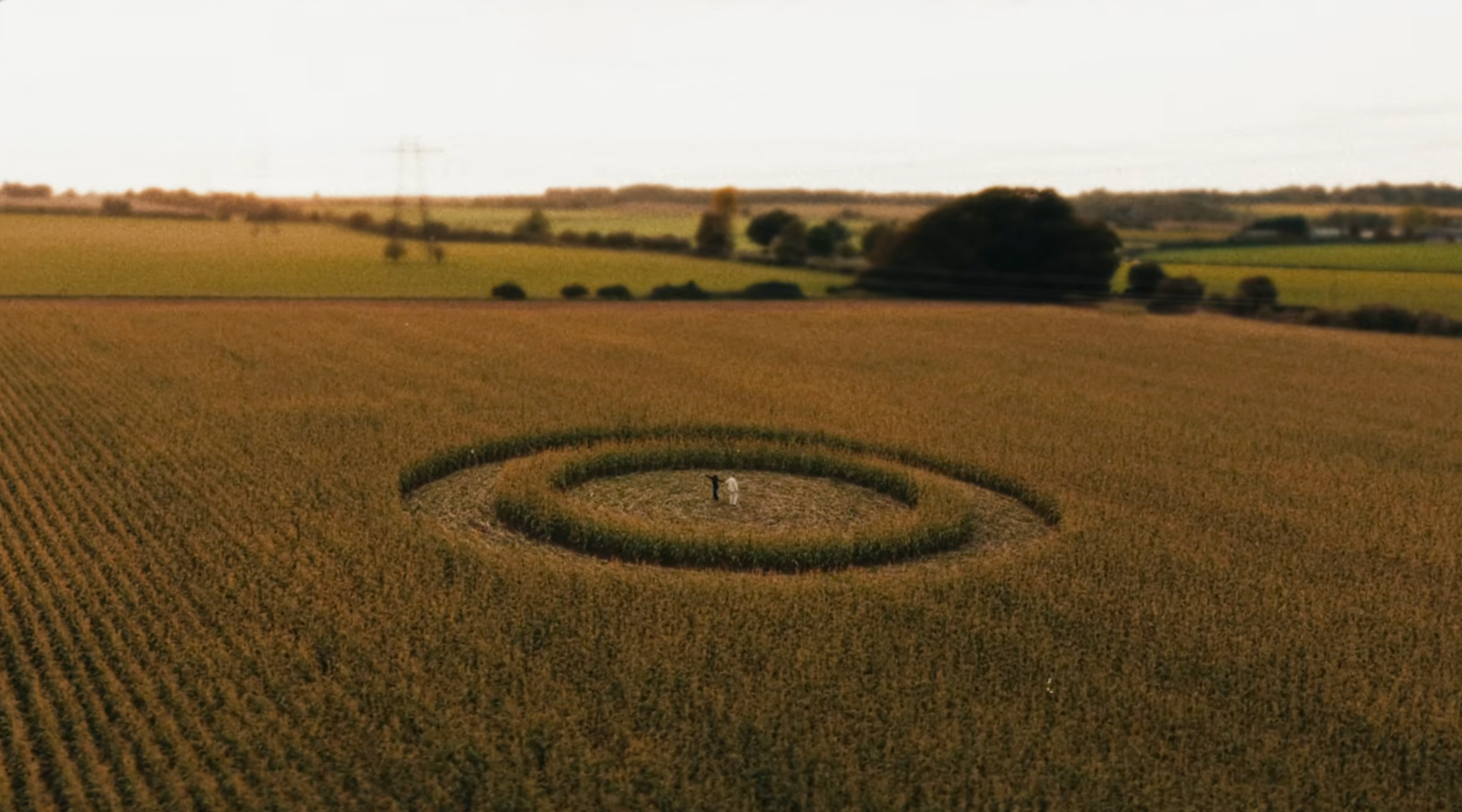 Reverend & The Makers | UFO
Dir. Nick Suchak
 music video 