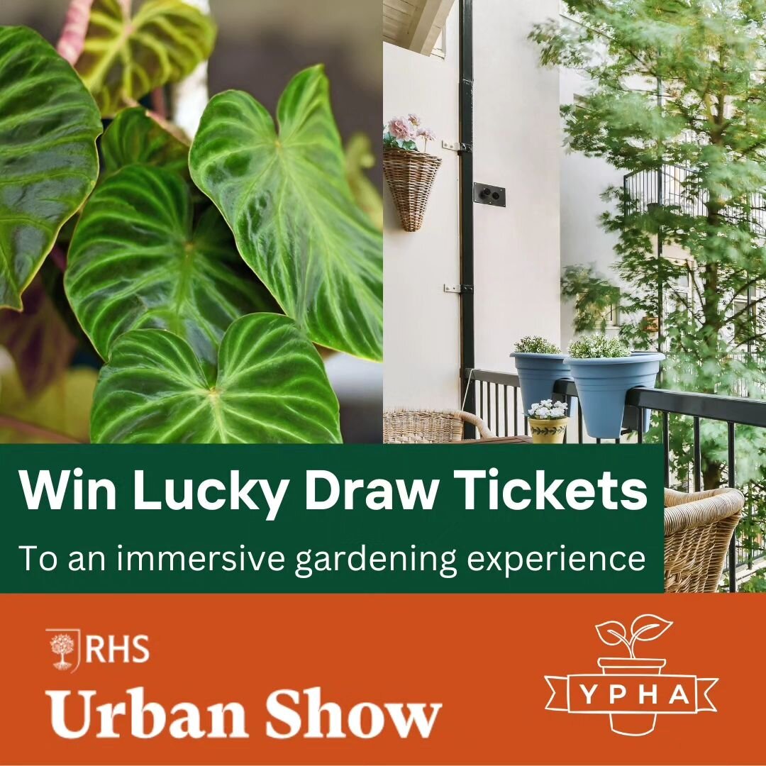📢 WIN Lucky Draw Tickets to an Immersive Gardening Experience! 
We have been given an amazing opportunity to offer our members the chance to attend this years RHS Urban Show in Manchester in April. The RHS has generously donated tickets which will b