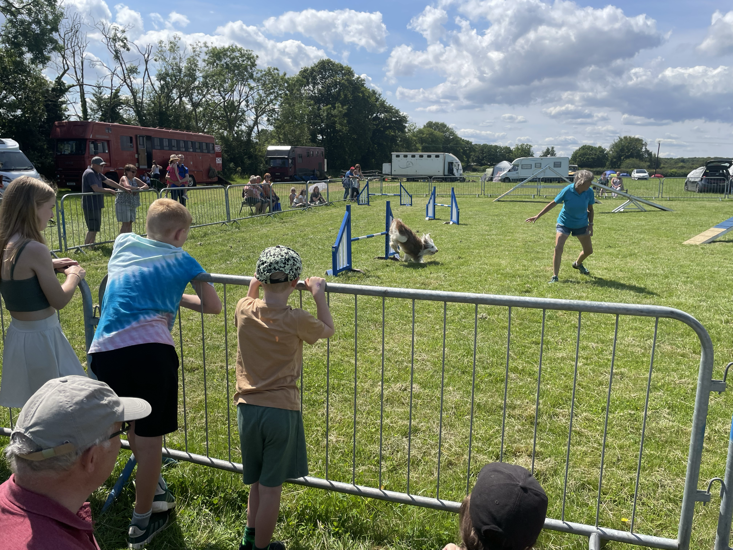 Dog Agility