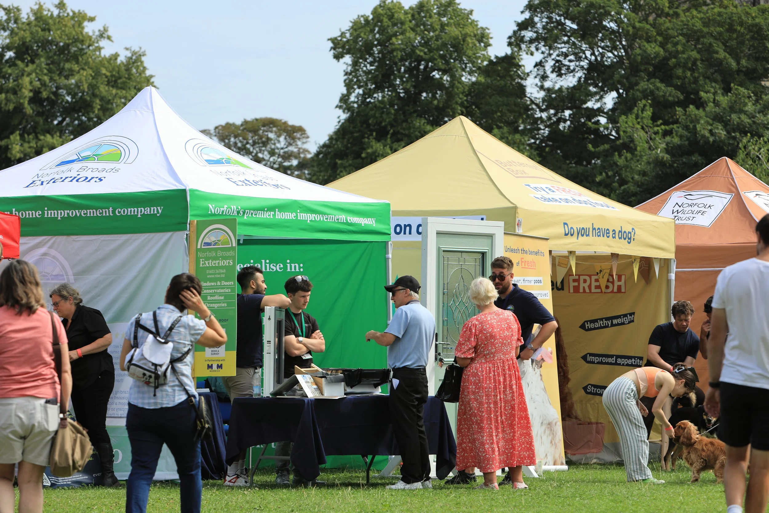 Public looking around stalls, talking to people here
