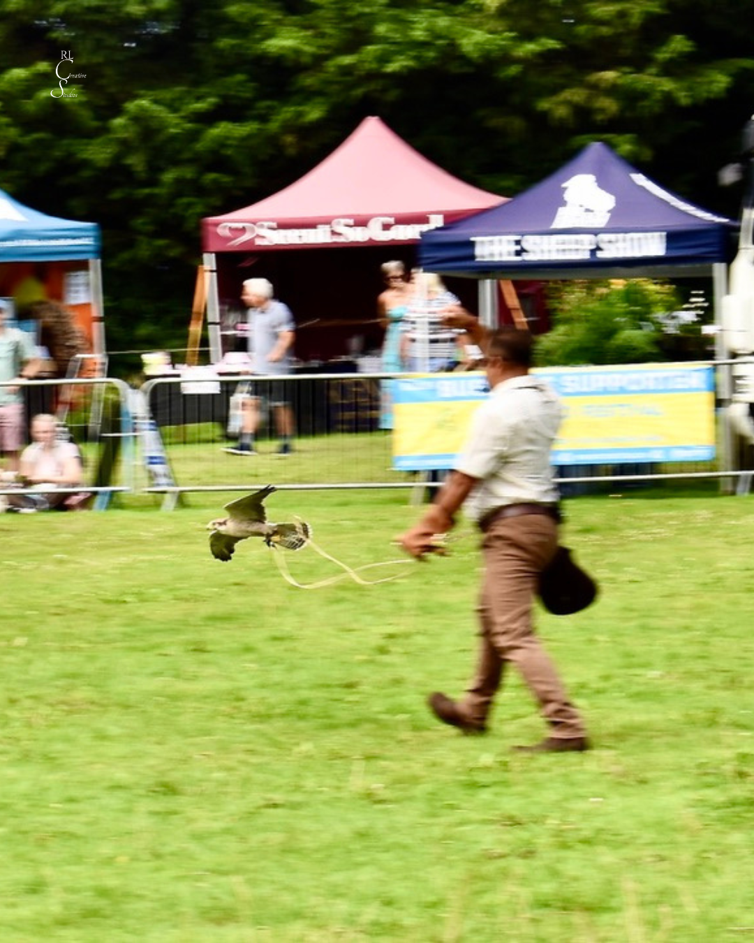 K&H Falconry performing a show