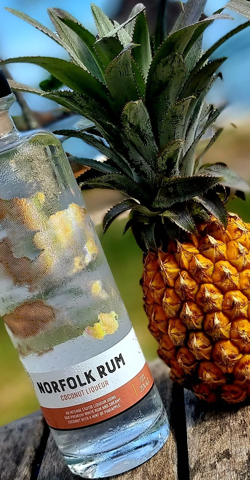 Norfolk Rum