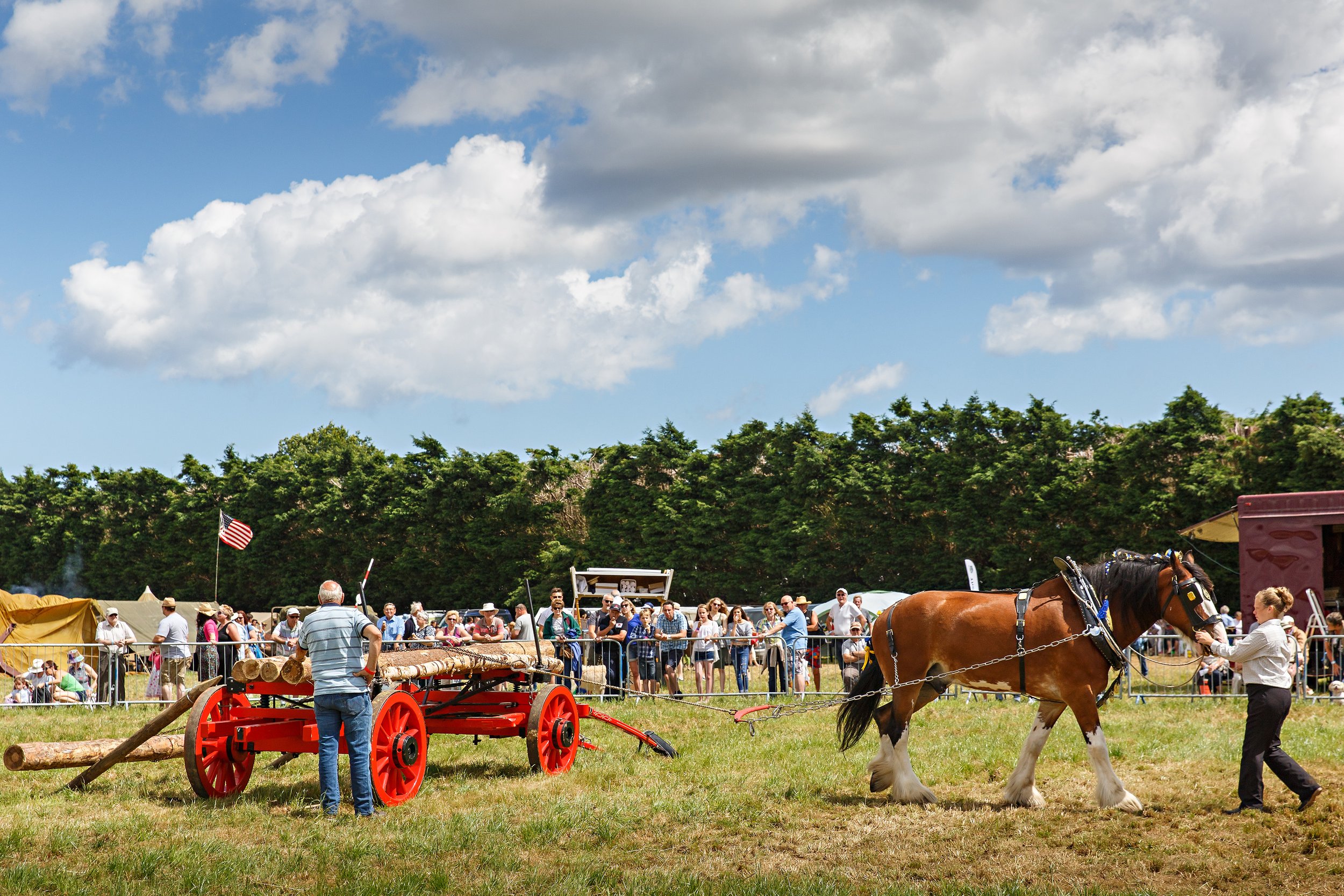 Eastern Counties Heavy Horse Association display with a horse pulling a trailer, loaded with logs.