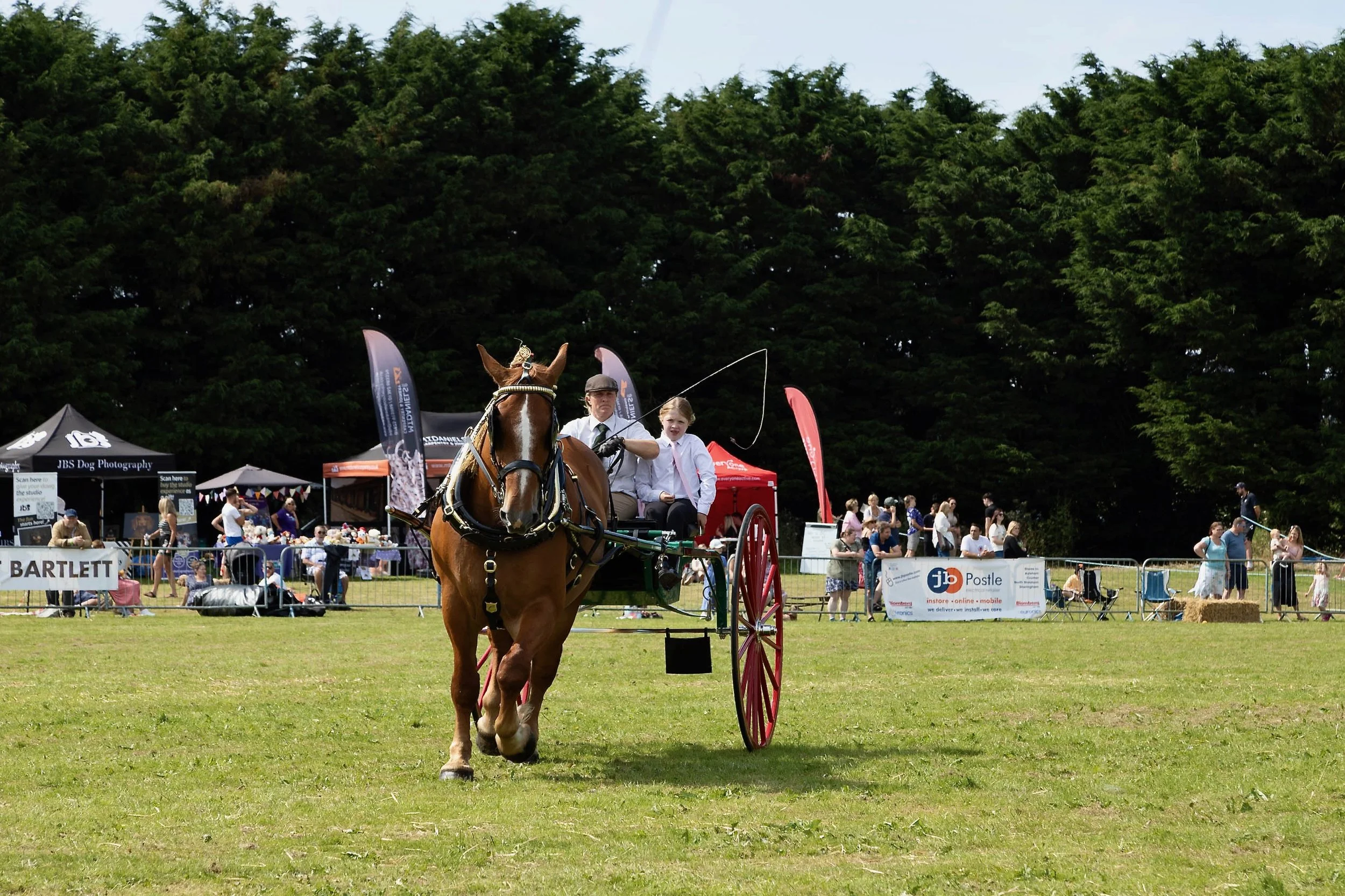 Heavy Horses