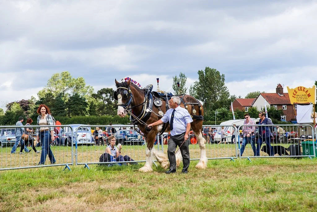 Eastern Counties Heavy Horse Association who will be performing in 2025