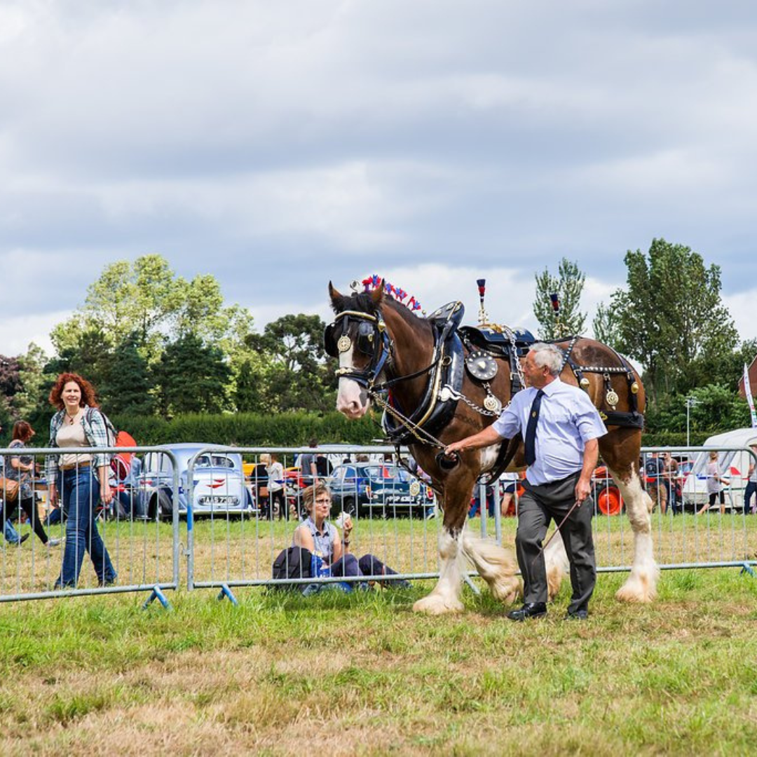 Main Show Ring