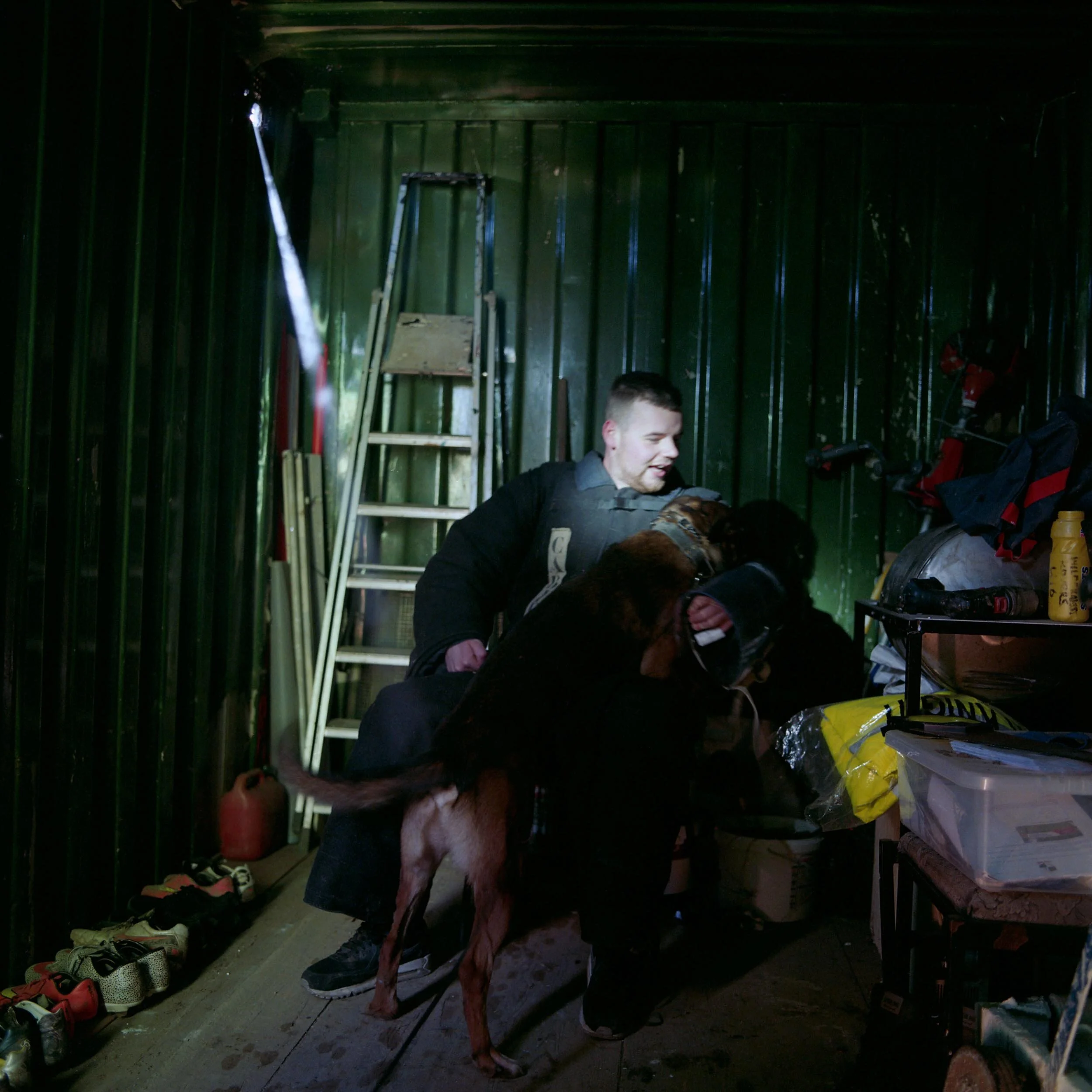 Protection Dogs Website Image 3.jpg