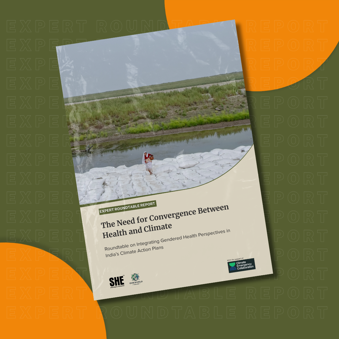 Expert Roundtable Report: The Need for Convergence Between Health and Climate in India