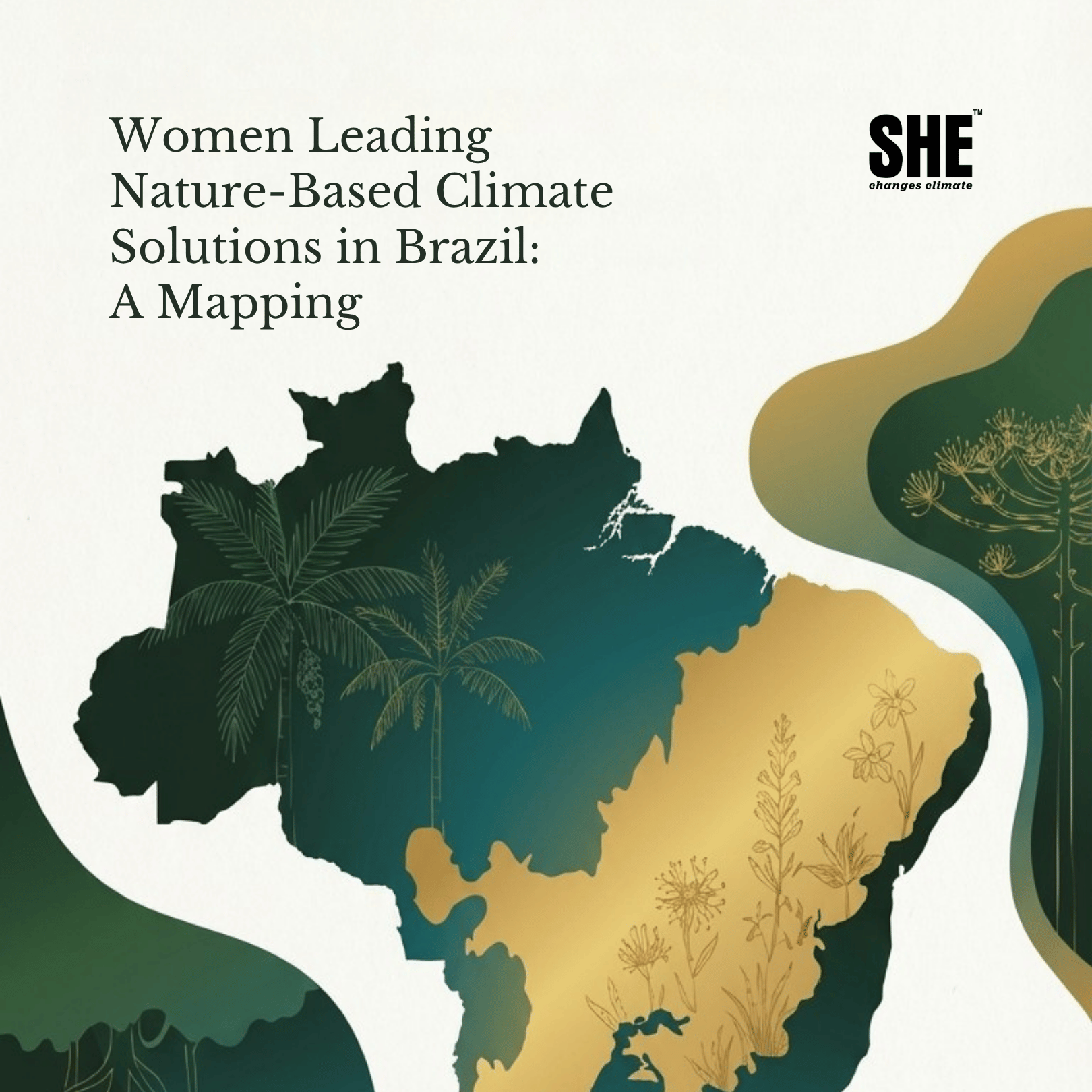 Women Leading Nature-Based Climate Solutions in Brazil: A Mapping