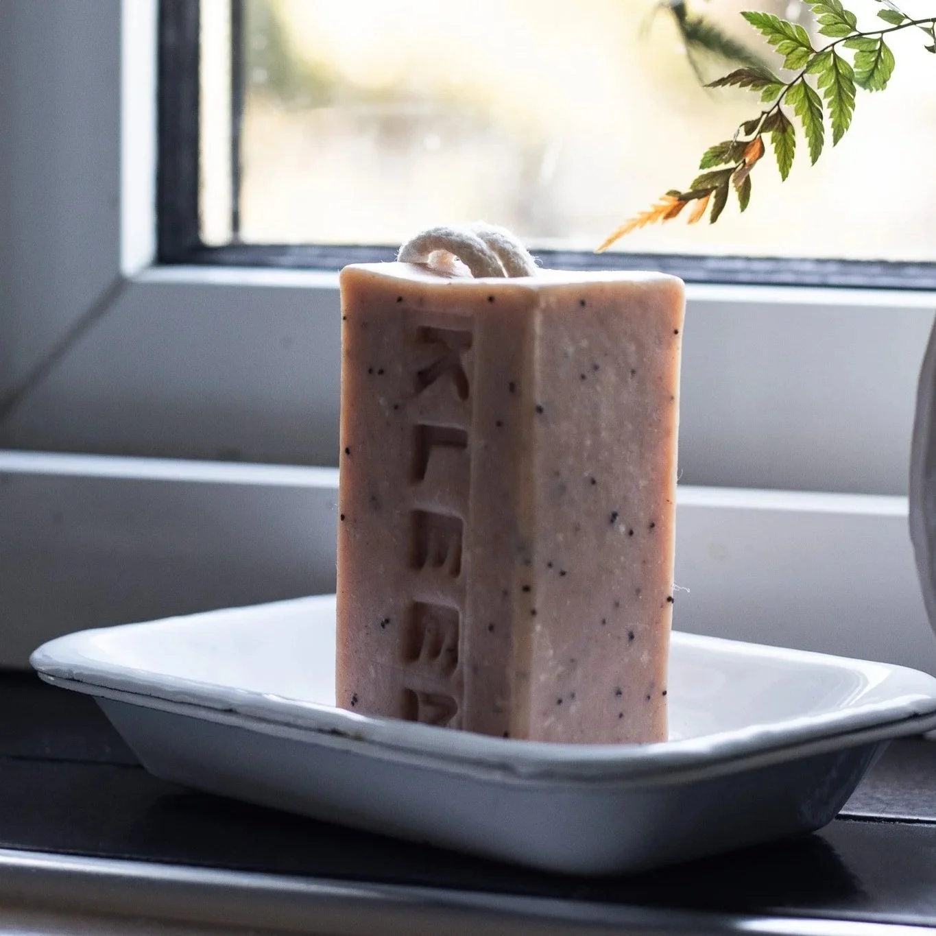 A rectangular bar of soap with the word 'BEER' engraved on the side, placed on a white dish near a window with sunlight and a green fern plant.