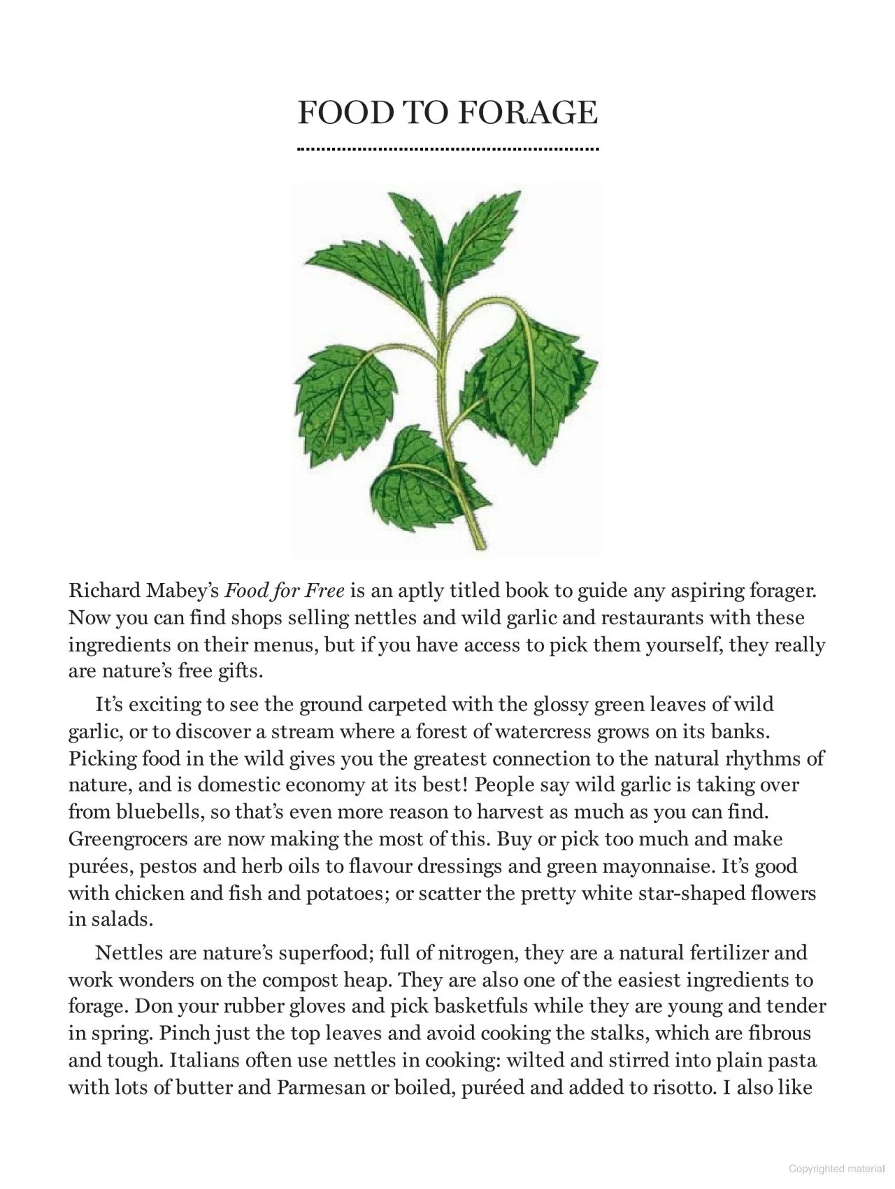 A Year in the Kitchen by Blanche Vaughan 5.jpg