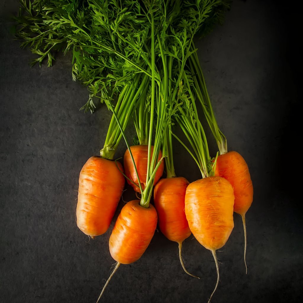 Carrot-Ox-Heart-cover-square-1024x1024.jpg