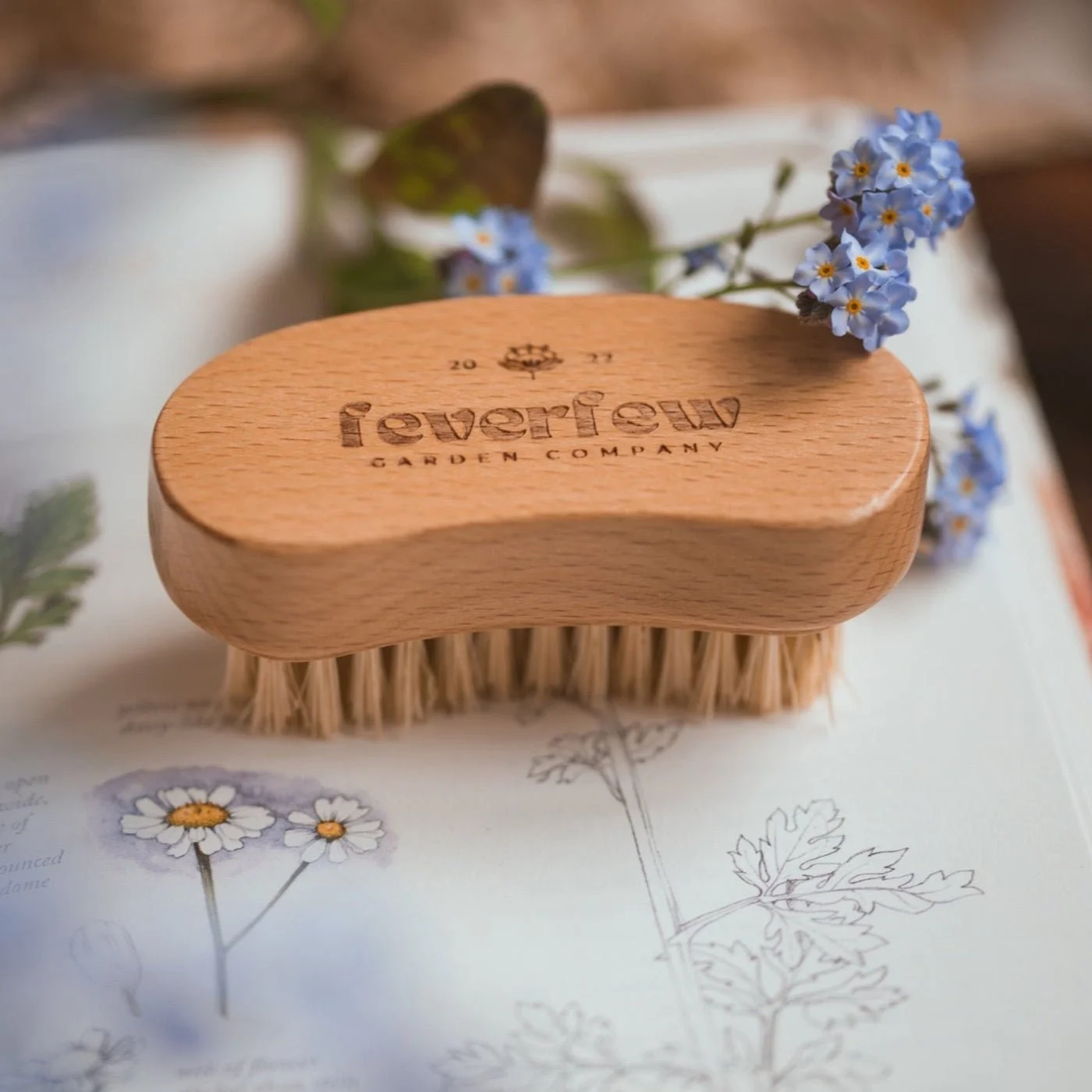 FeverfewGloves_Nailbrush-11.jpg
