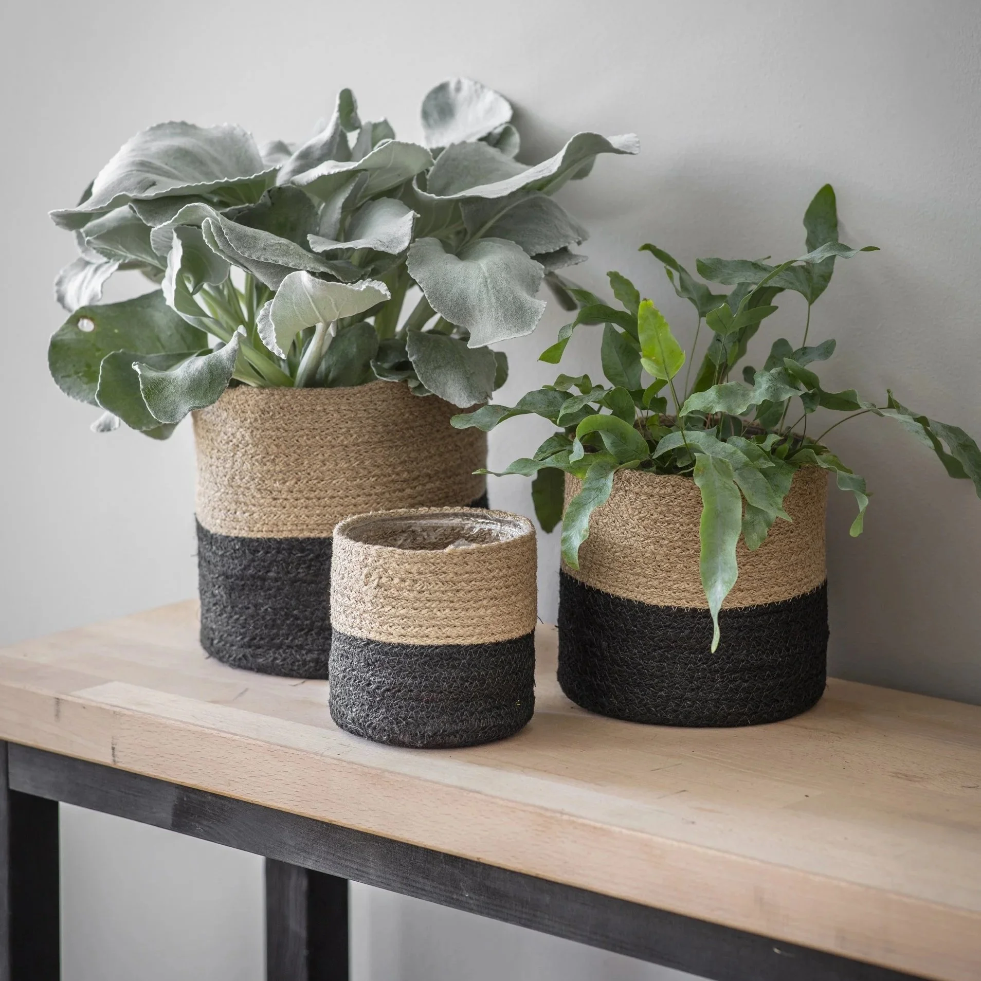 Jute Striped Pots - Set of 3 Black & Natural