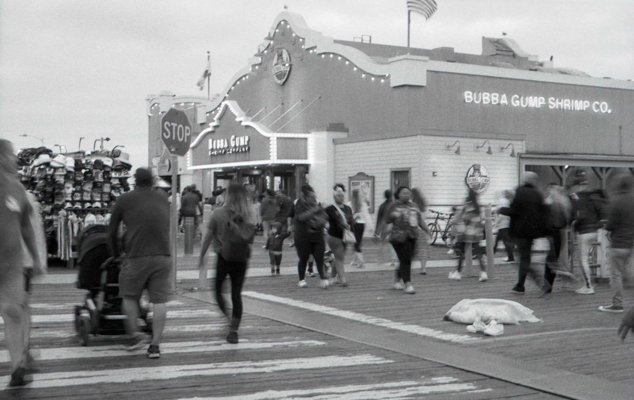 hp535mm (28).jpg