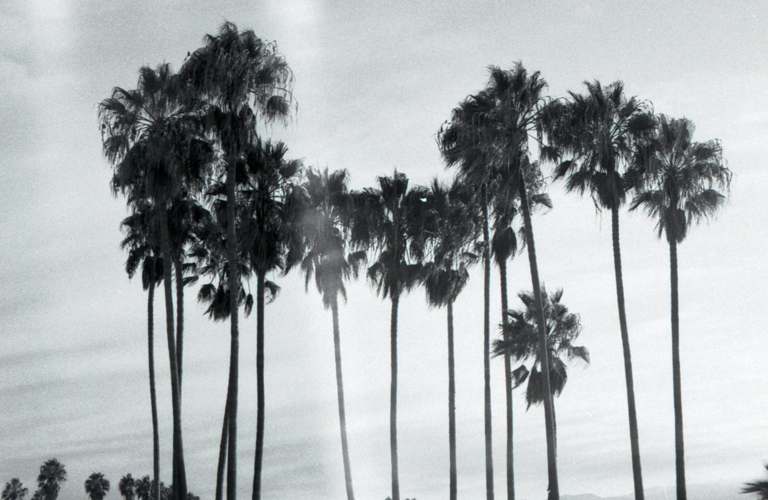 hp535mm.jpg