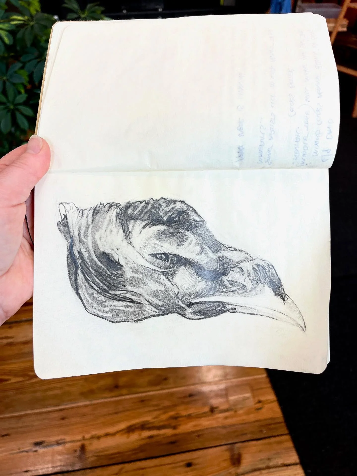 Turkey head.
#mementomori #lifeanddeath #drawing #sketch #woodlessgraphite #graphitesketch #turkeyhead #animalia #naturalism