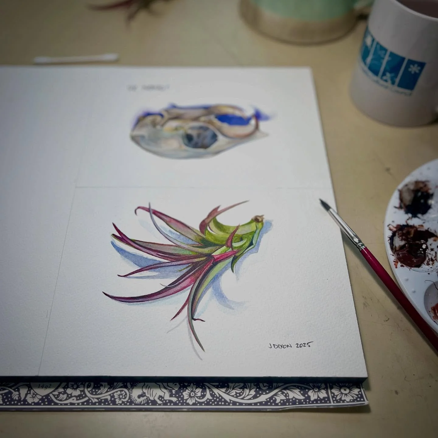 Air plant, watercolor on Arches paper, 3&rdquo; x 5&rdquo;

#watercolor #watercolorstudy #watercolorpainting #watercolorsketch #watercolour #aquarelle #fromlife #stilllife #stilllifepainting #practice #botanical #flora #nature #naturepainting #mement