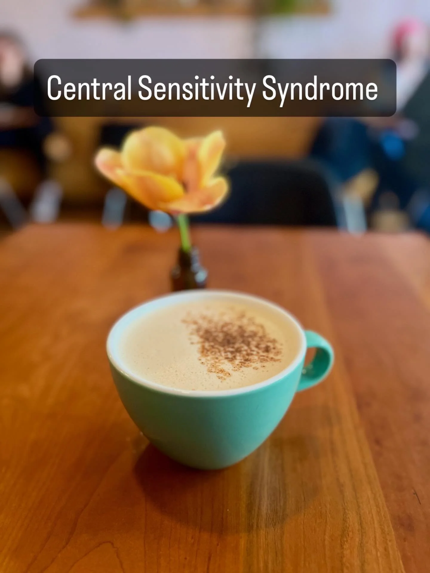 After months of symptoms, appointments, specialists, blood work, drugs, herbs, suggestions, leads, dead ends, disbelief and panic, a rheumatologist diagnosed me with Central Sensitivity Syndrome. I was convinced I have Sj&ouml;gren&rsquo;s Disease bu