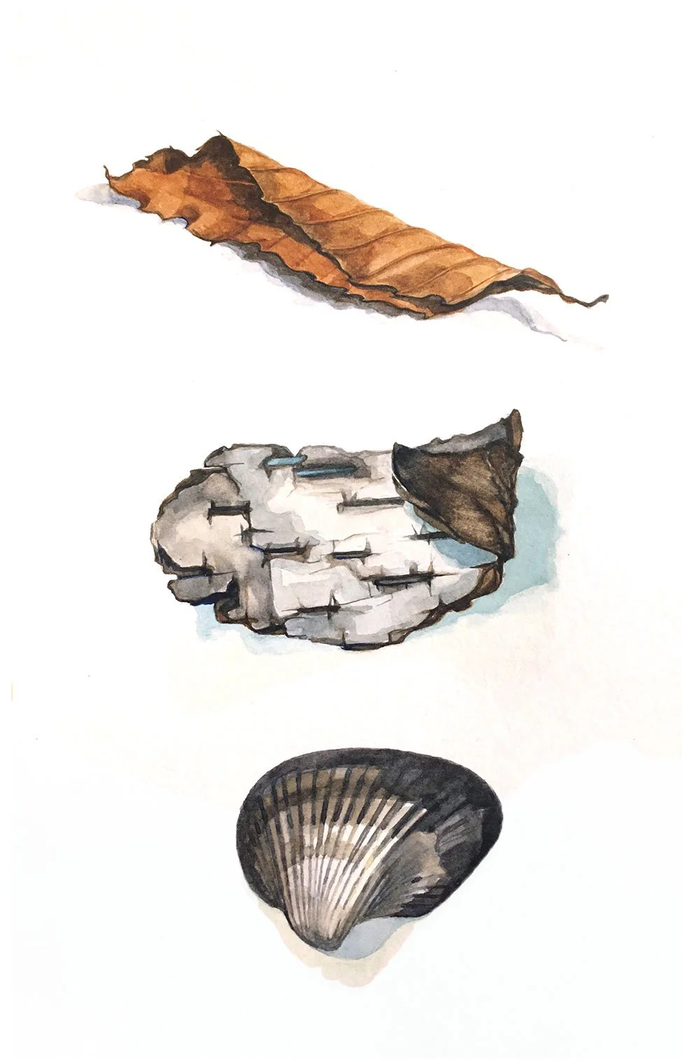 three seasons study, 2020, watercolor on paper