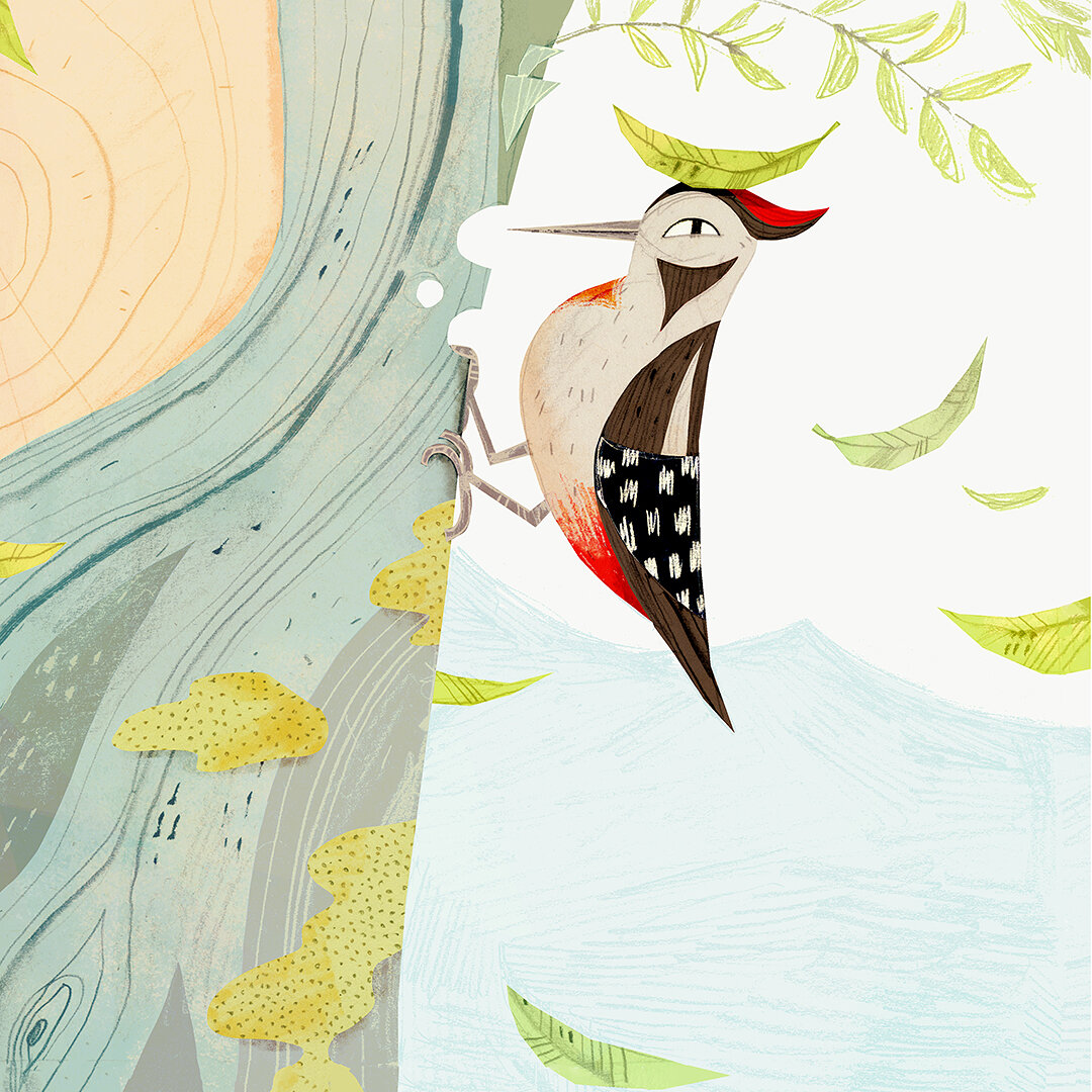More images from the book 🍂

Trampled ground, scared animals, annoyed woodpecker.

#childrensbook #ilbattelloavapore #robertopiumini #kidlit #kidlitart #kidlitartist #illustratorsofig #childrenillustration #womenillustrators #woodpecker #illo