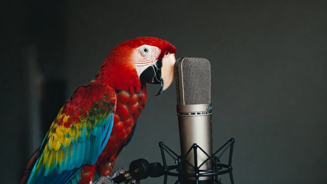 Art of Being Original