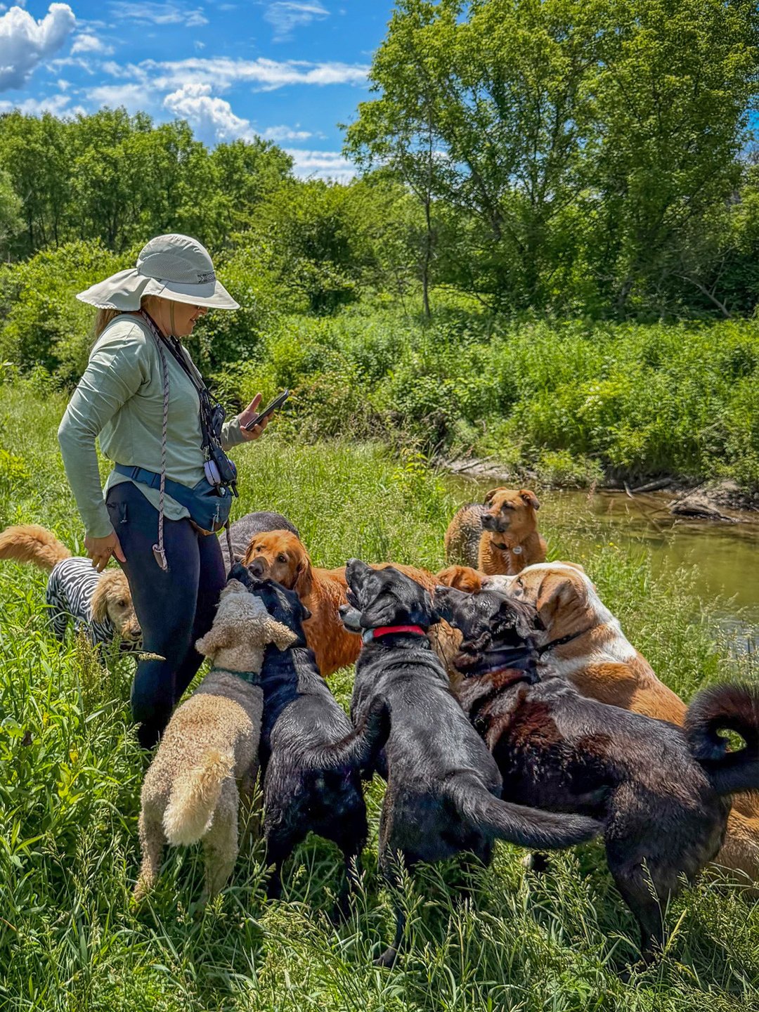 LibertyMuttsGangy.jpg