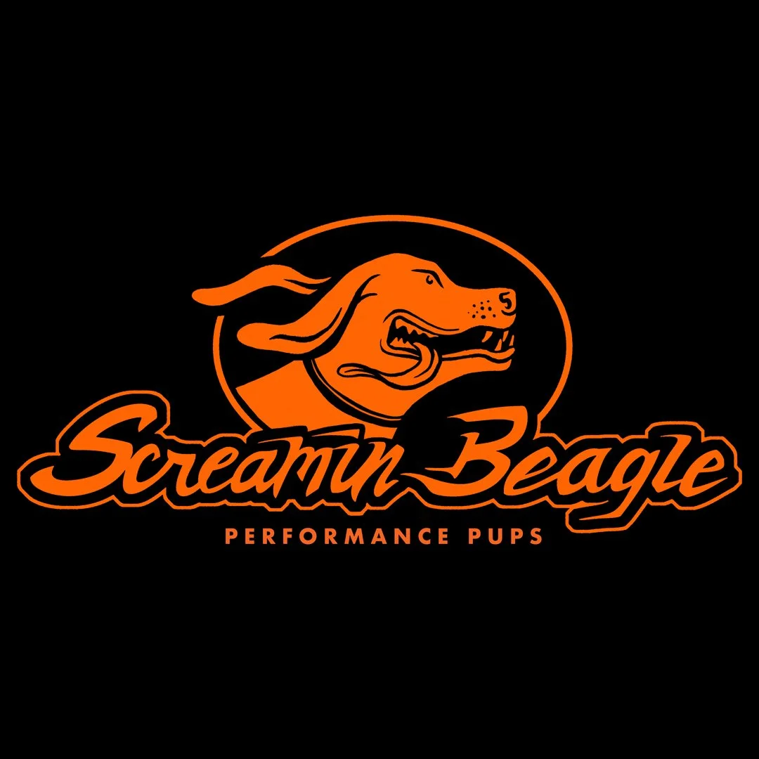 ScreaminBeagleFinal.jpg